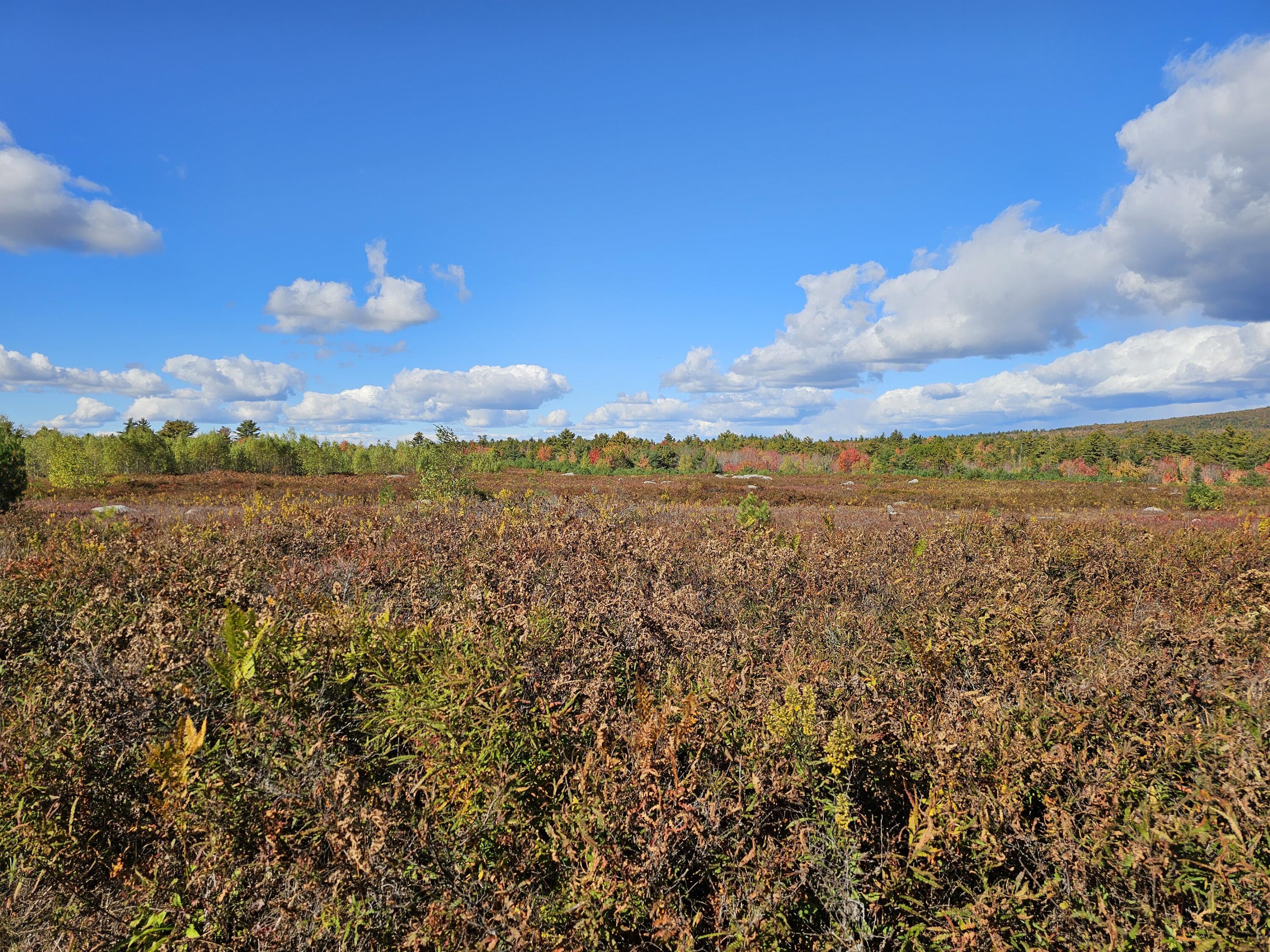 Green Field, Off Georges Pond Road Franklin ME 04634