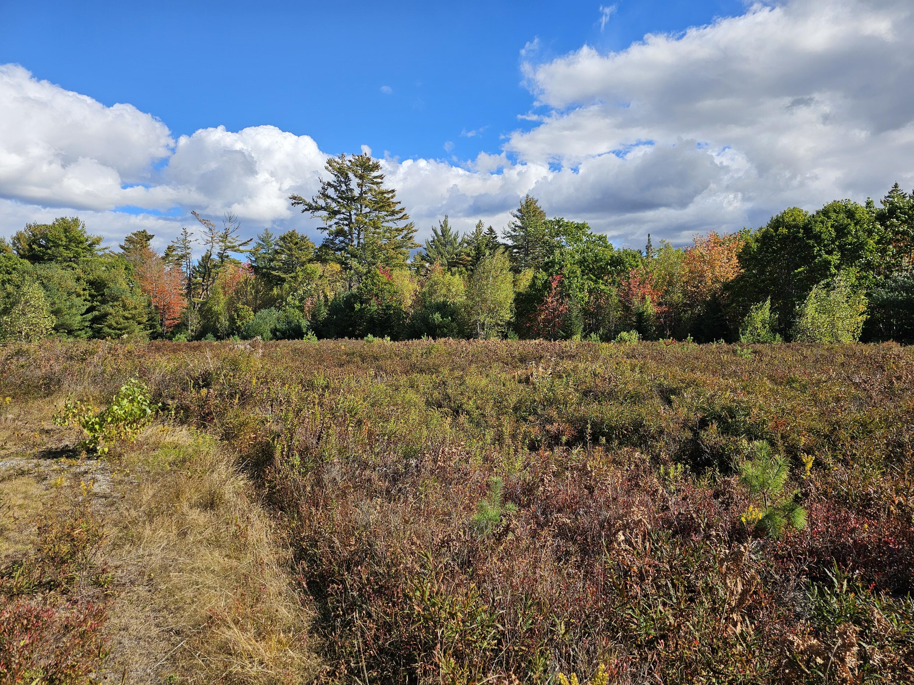 Green Field, Off Georges Pond Road Franklin ME 04634