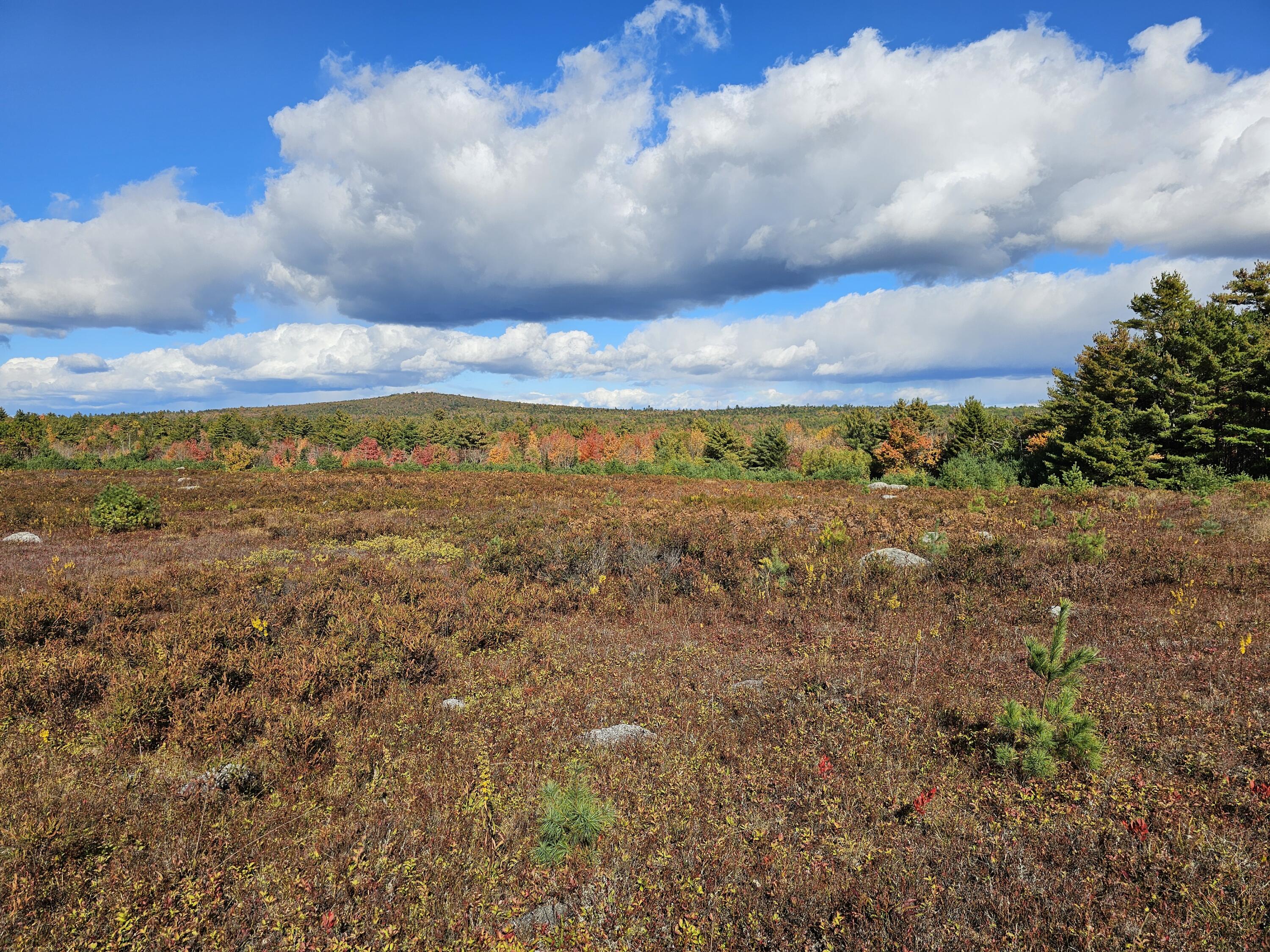 Green Field, Off Georges Pond Road Franklin ME 04634