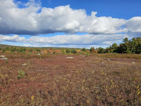 Green Field, Off Georges Pond Road Franklin ME 04634