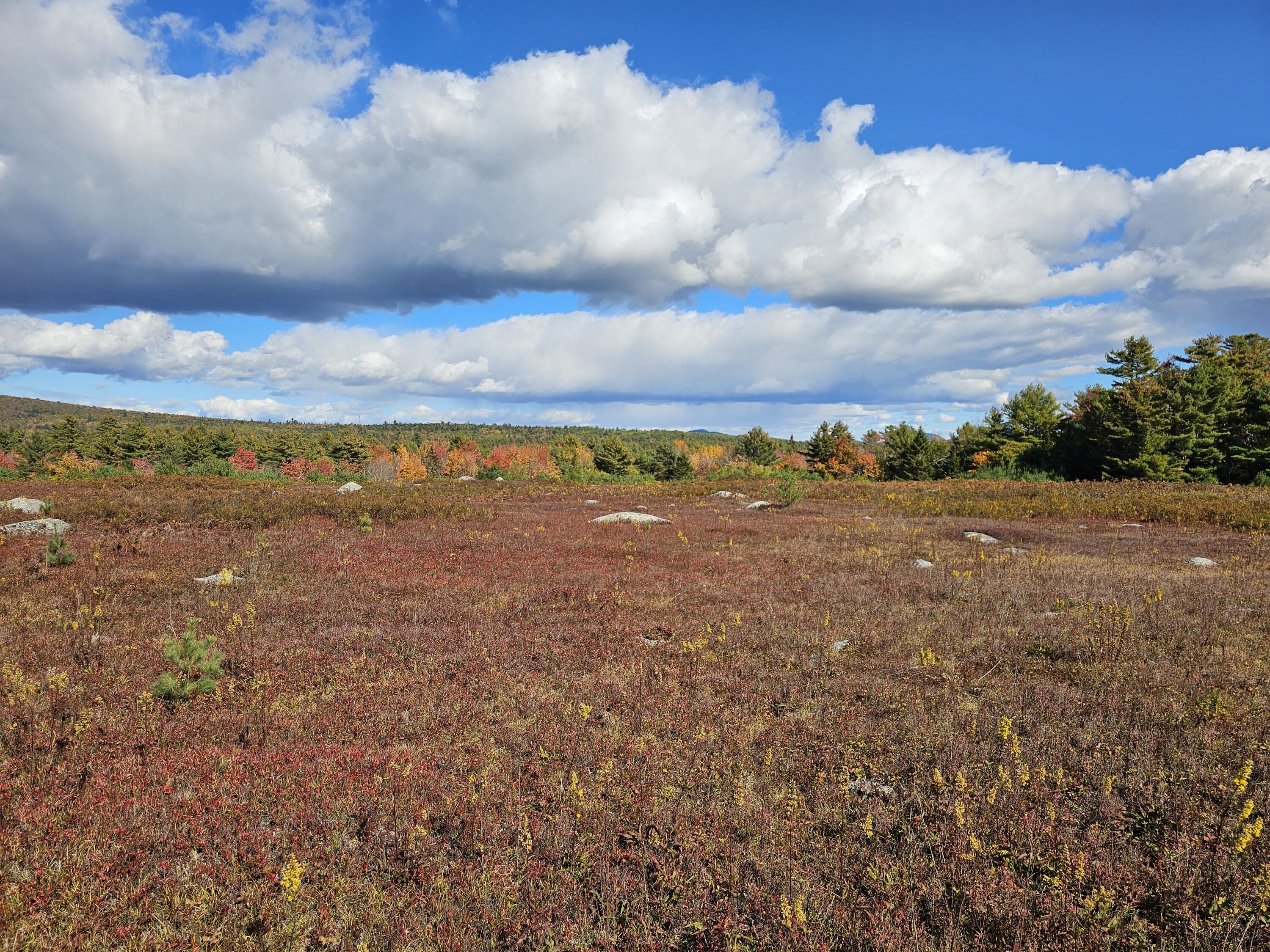 Green Field, Off Georges Pond Road Franklin ME 04634
