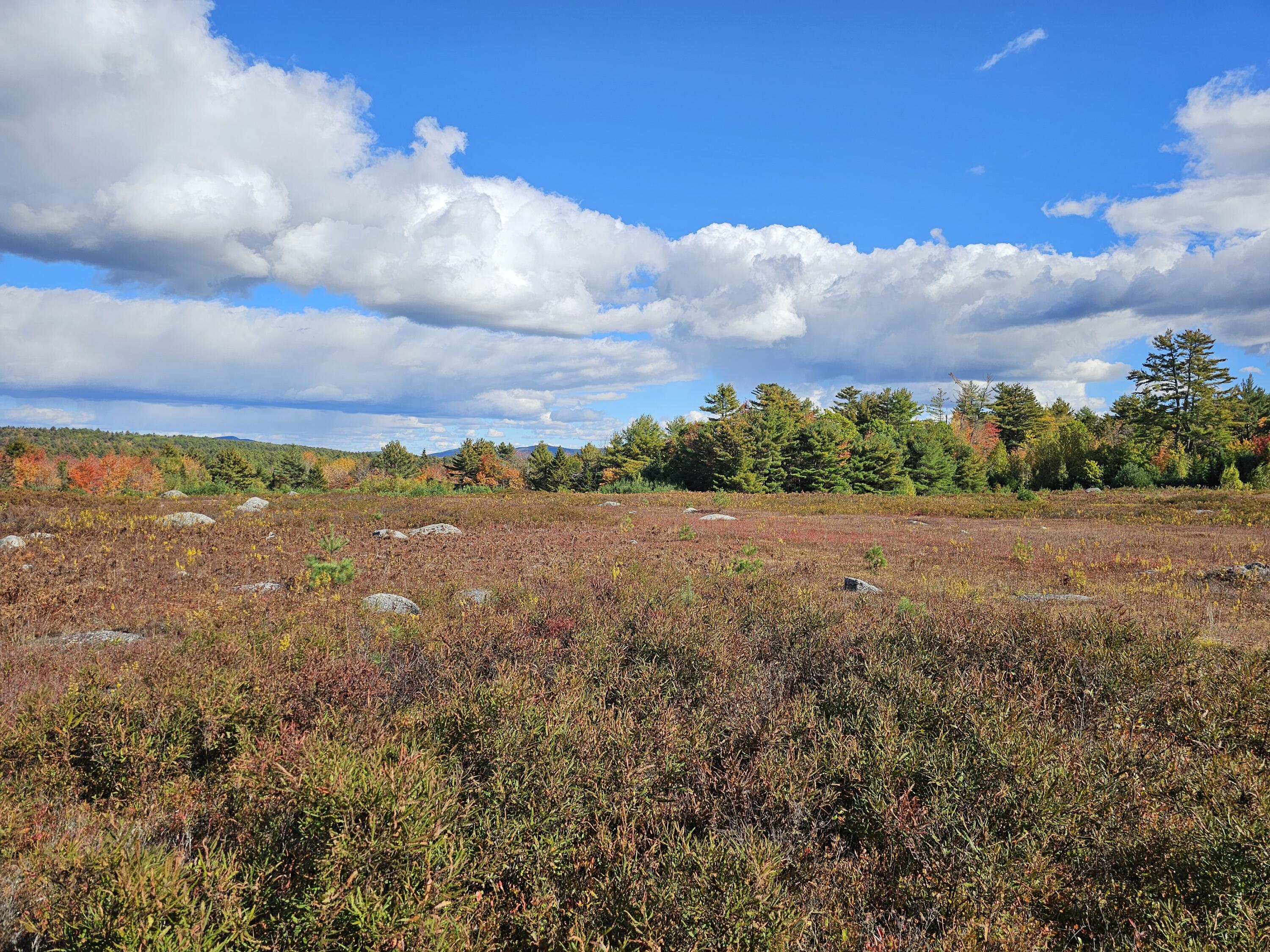 Green Field, Off Georges Pond Road Franklin ME 04634