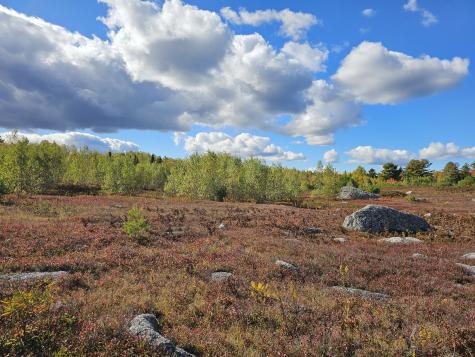 Green Field, Off Georges Pond Road Franklin ME 04634