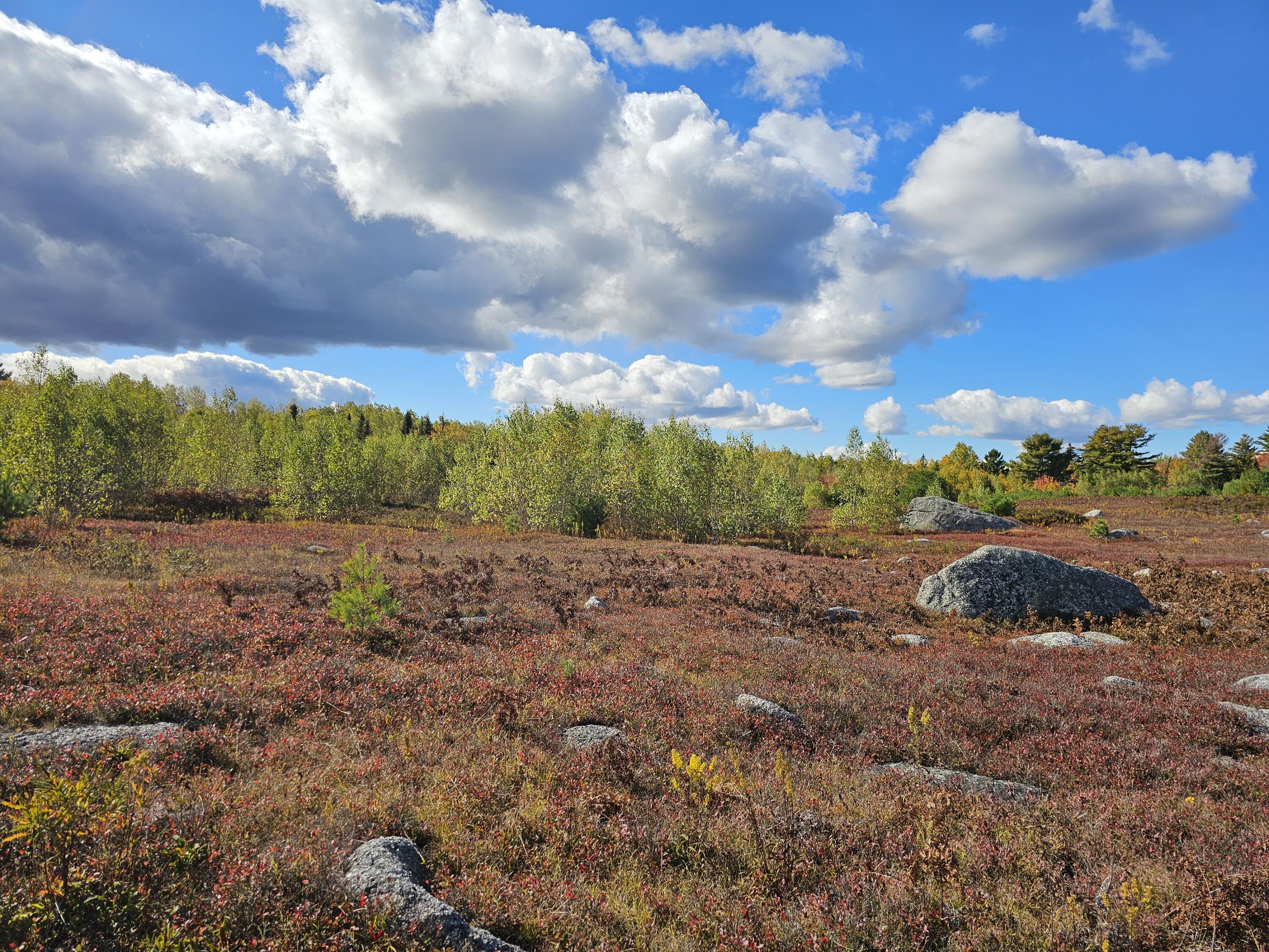 Green Field, Off Georges Pond Road Franklin ME 04634