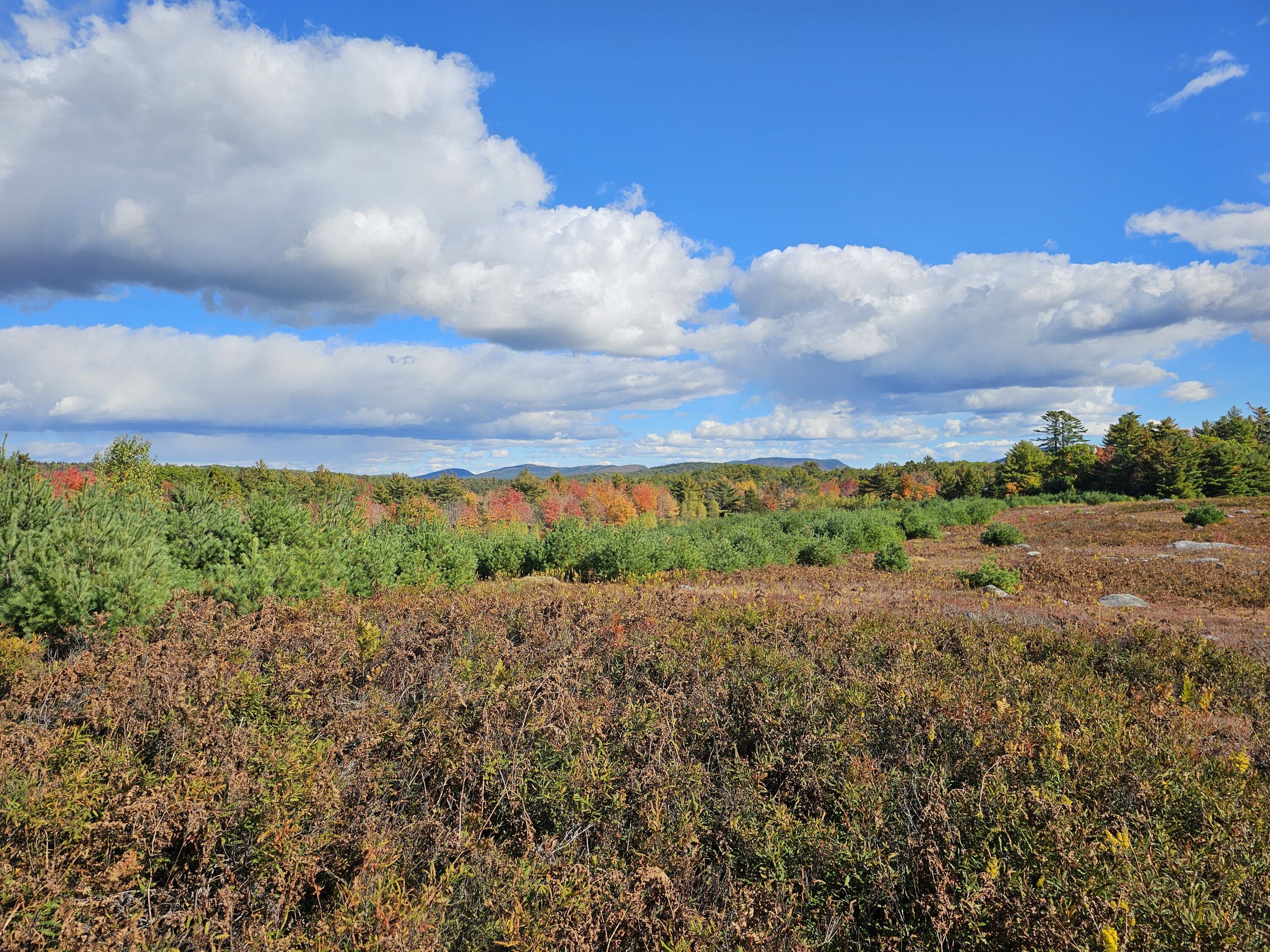 Green Field, Off Georges Pond Road Franklin ME 04634