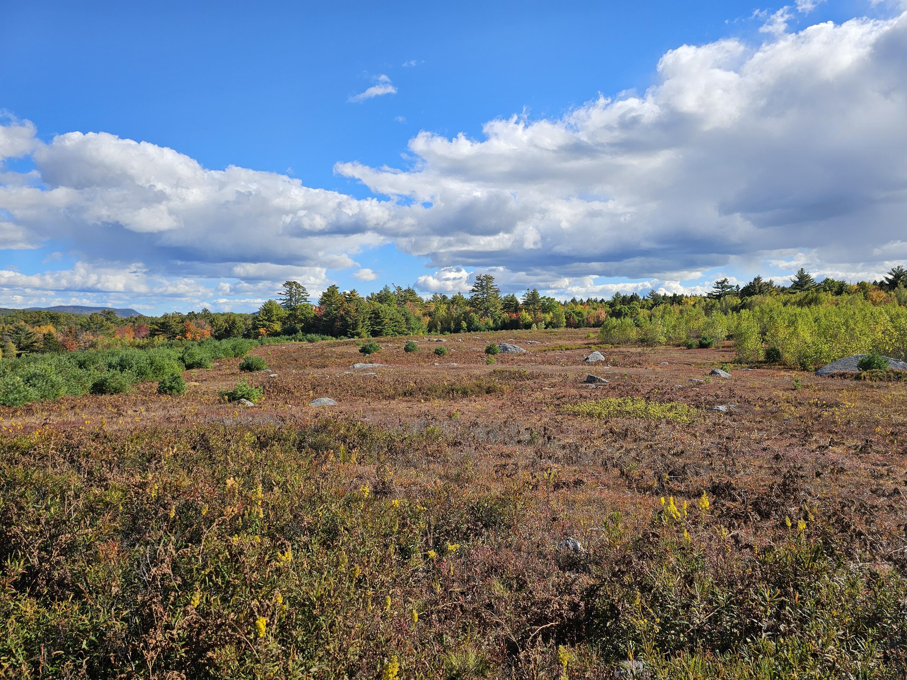 Green Field, Off Georges Pond Road Franklin ME 04634