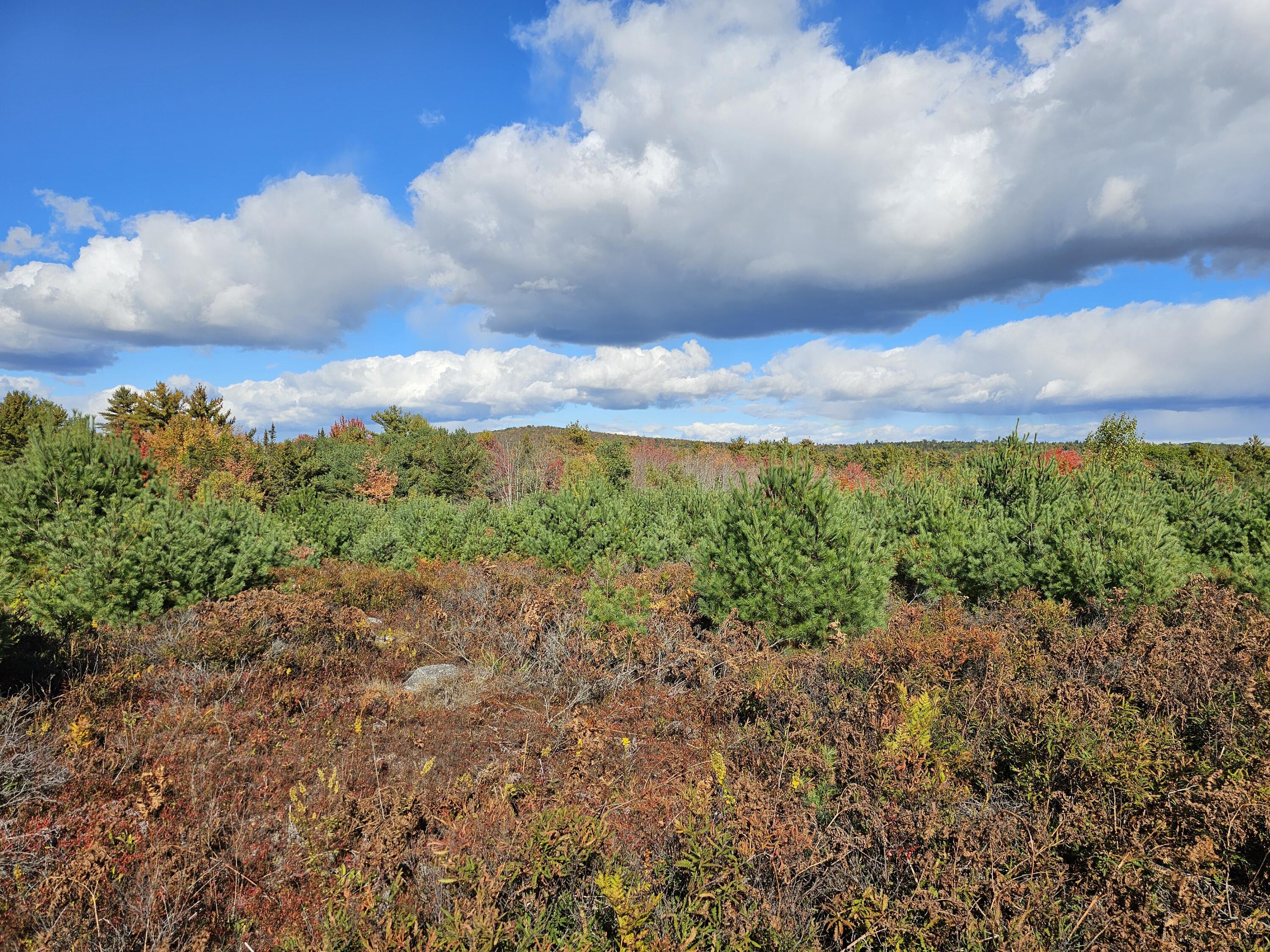 Green Field, Off Georges Pond Road Franklin ME 04634