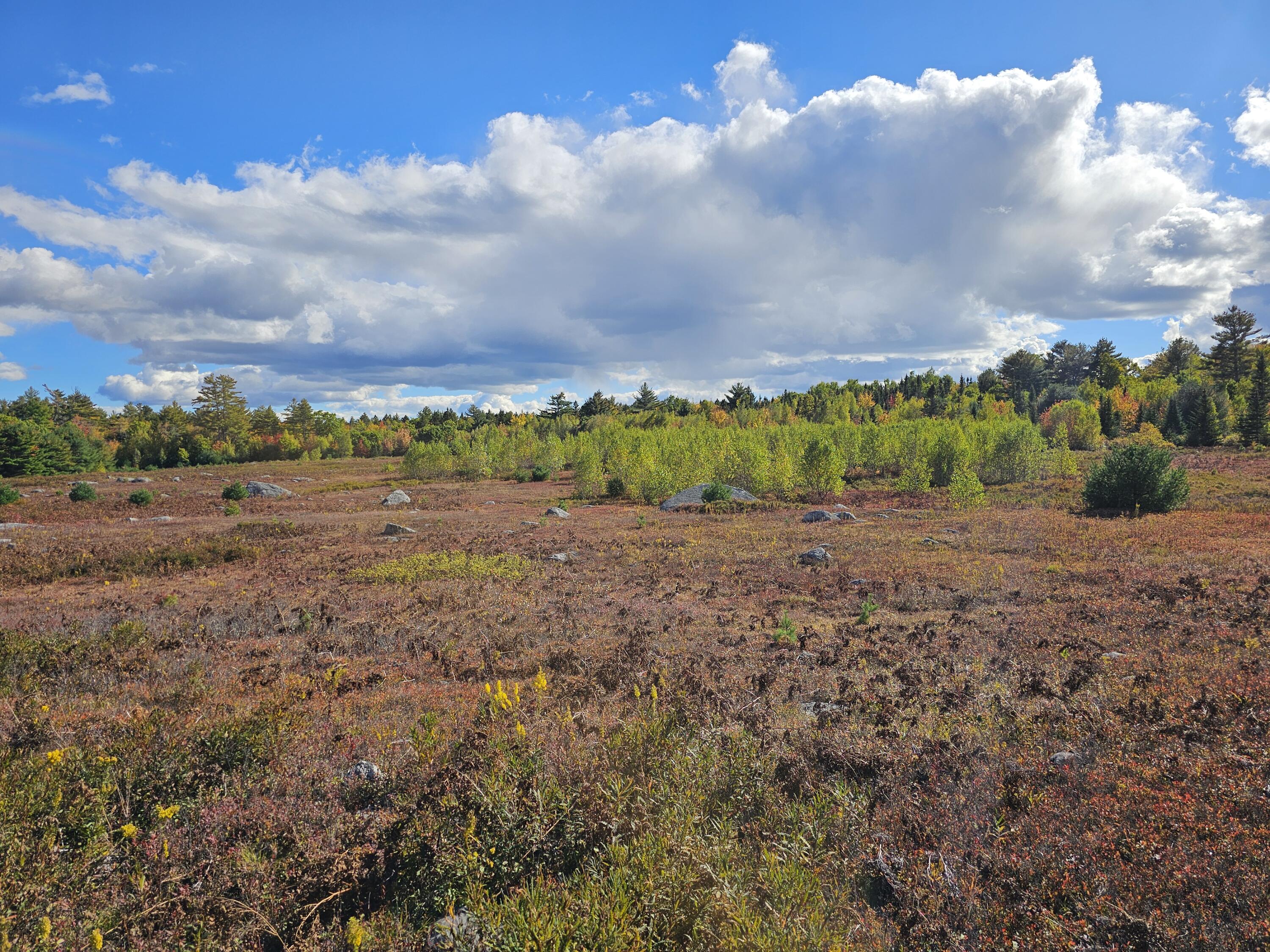 Green Field, Off Georges Pond Road Franklin ME 04634