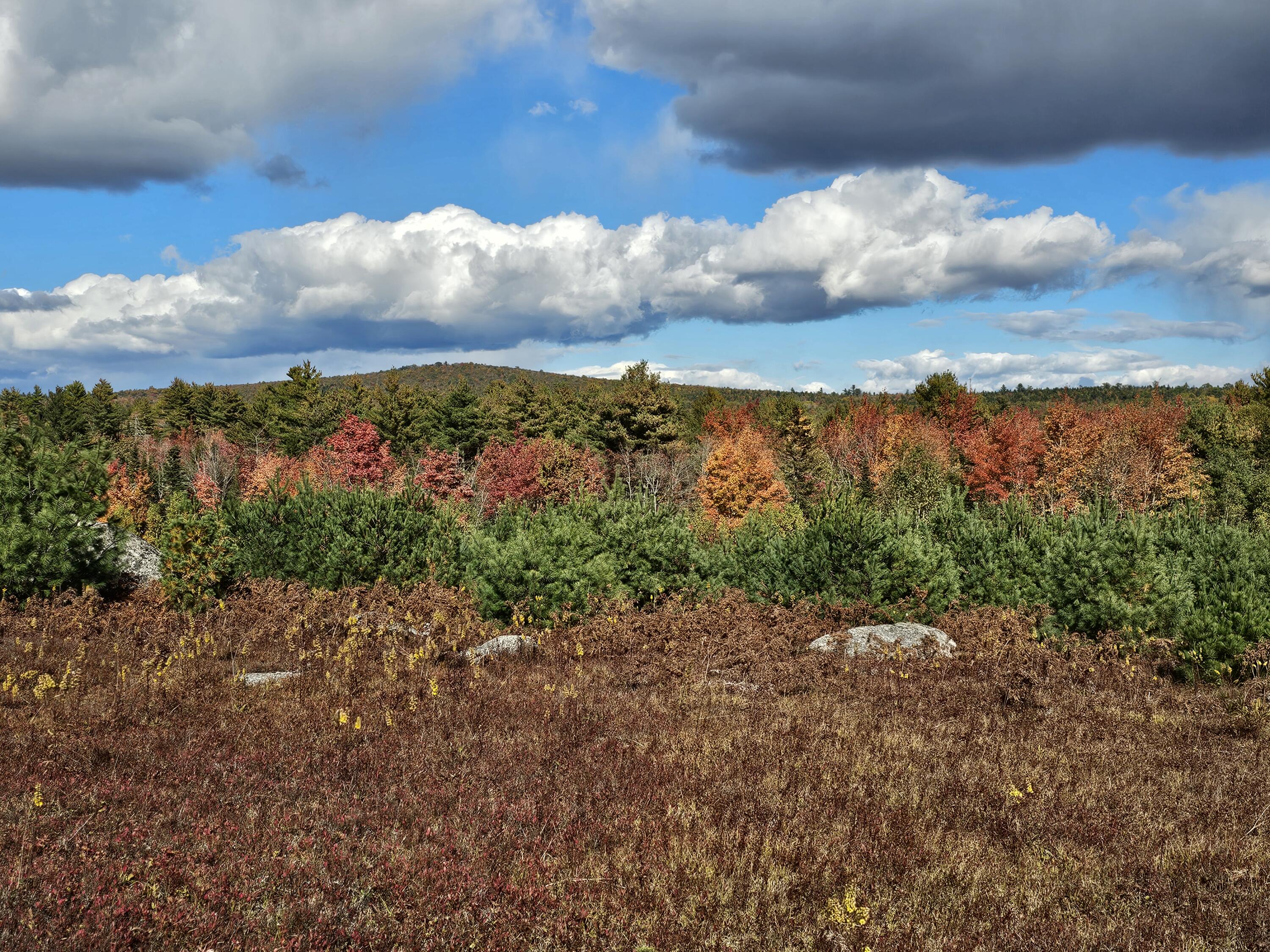 Green Field, Off Georges Pond Road Franklin ME 04634