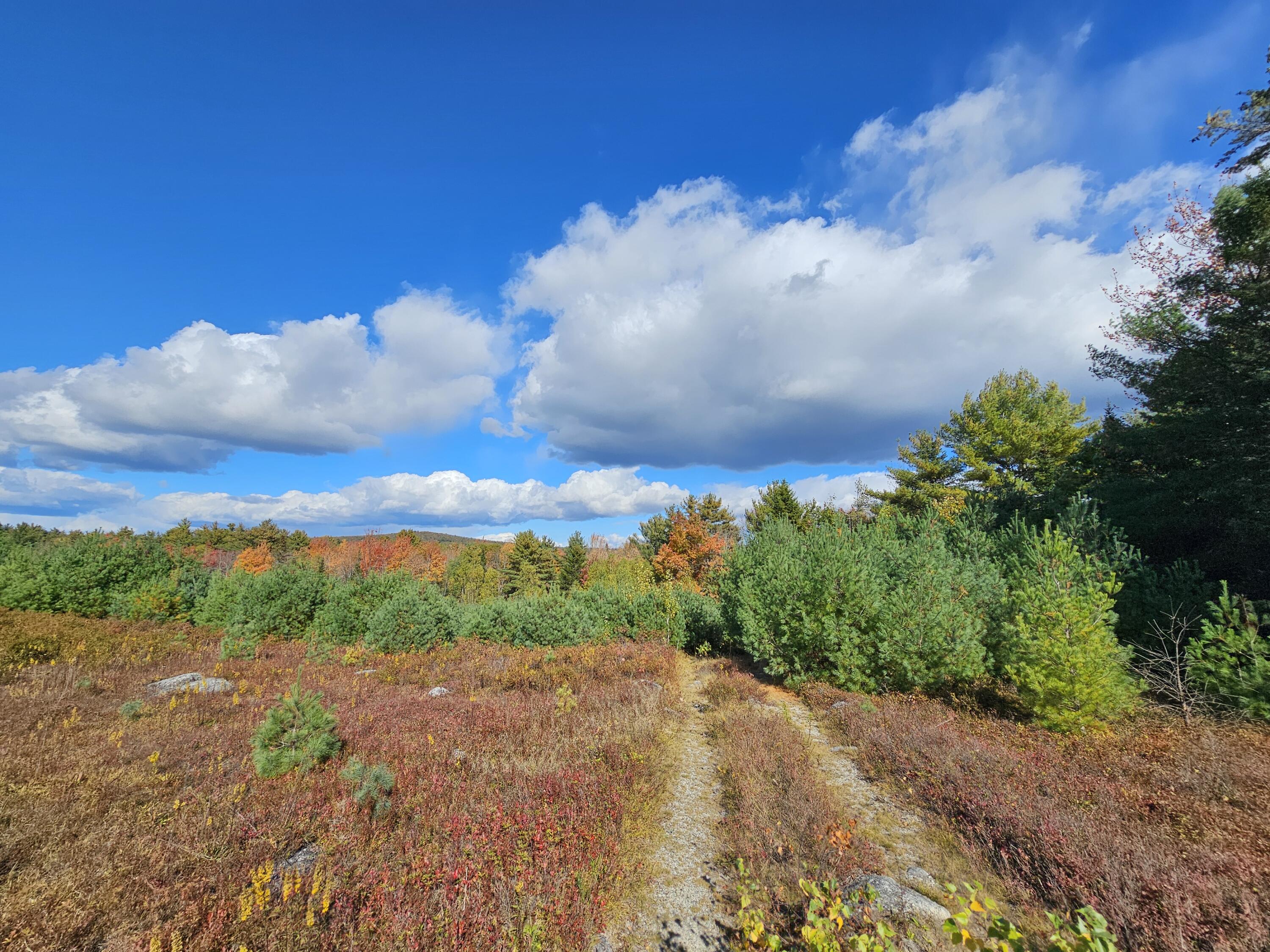 Green Field, Off Georges Pond Road Franklin ME 04634