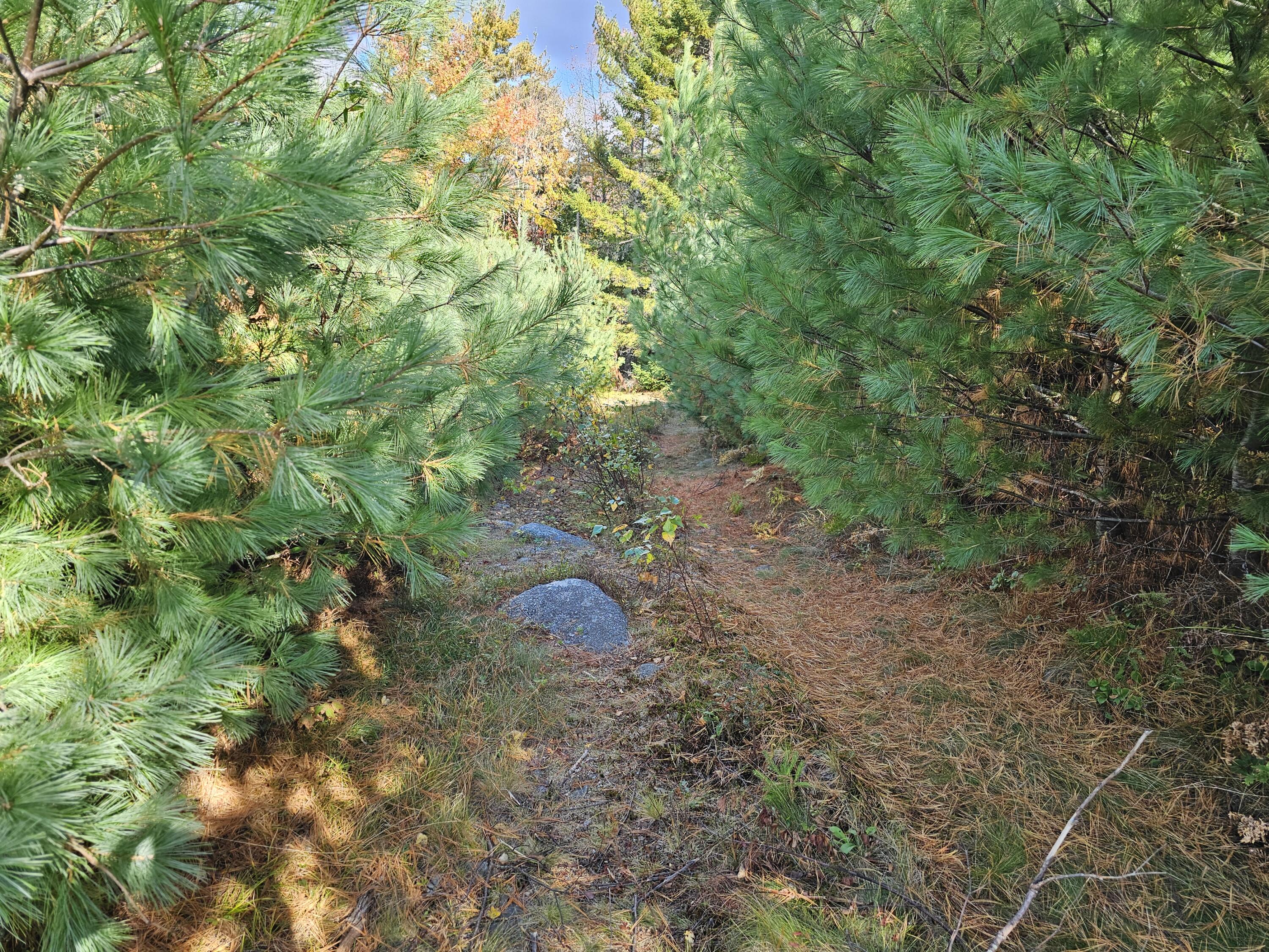 Green Field, Off Georges Pond Road Franklin ME 04634