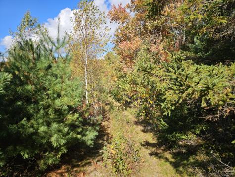 Green Field, Off Georges Pond Road Franklin ME 04634