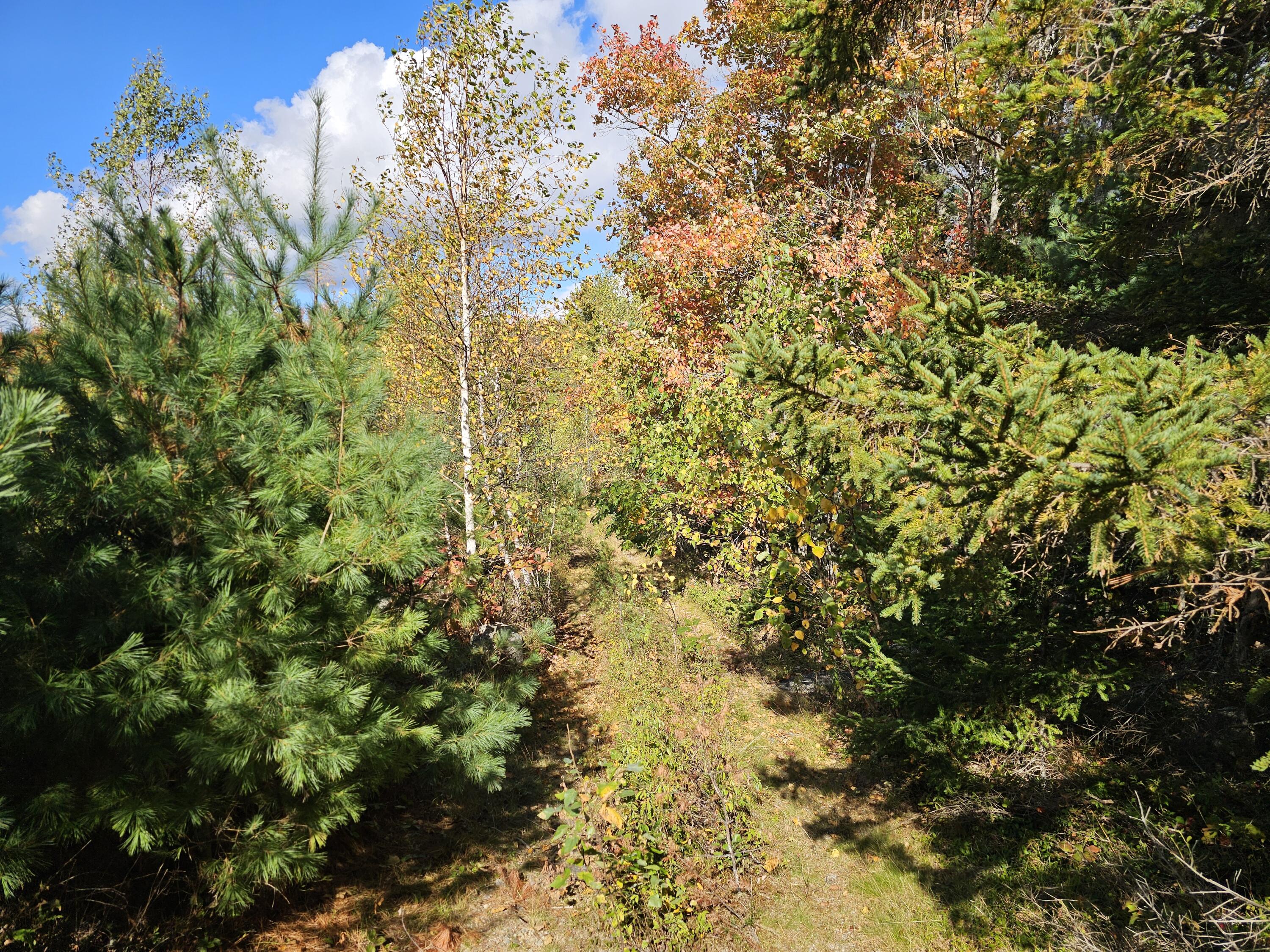Green Field, Off Georges Pond Road Franklin ME 04634