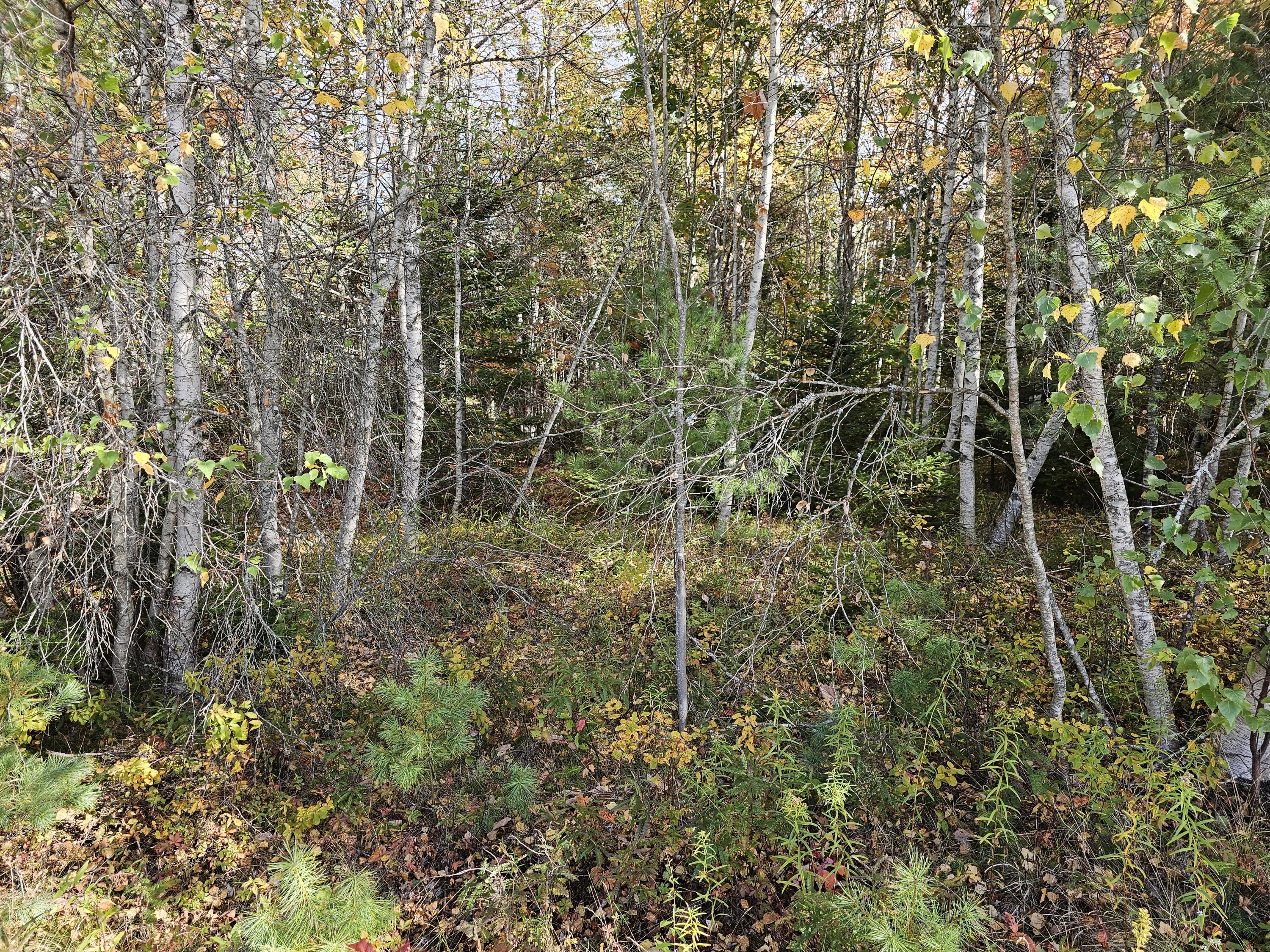 Green Field, Off Georges Pond Road Franklin ME 04634