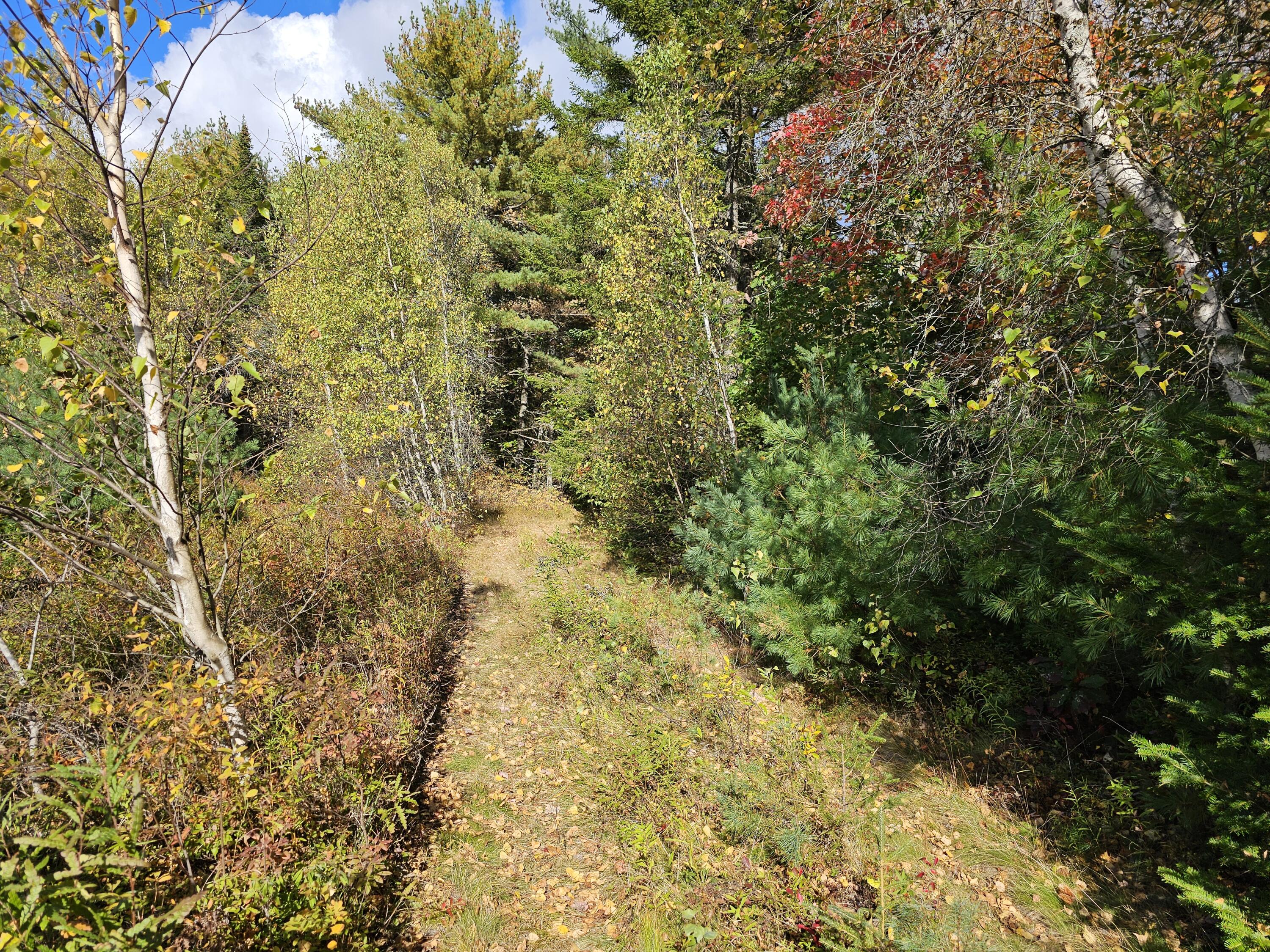 Green Field, Off Georges Pond Road Franklin ME 04634