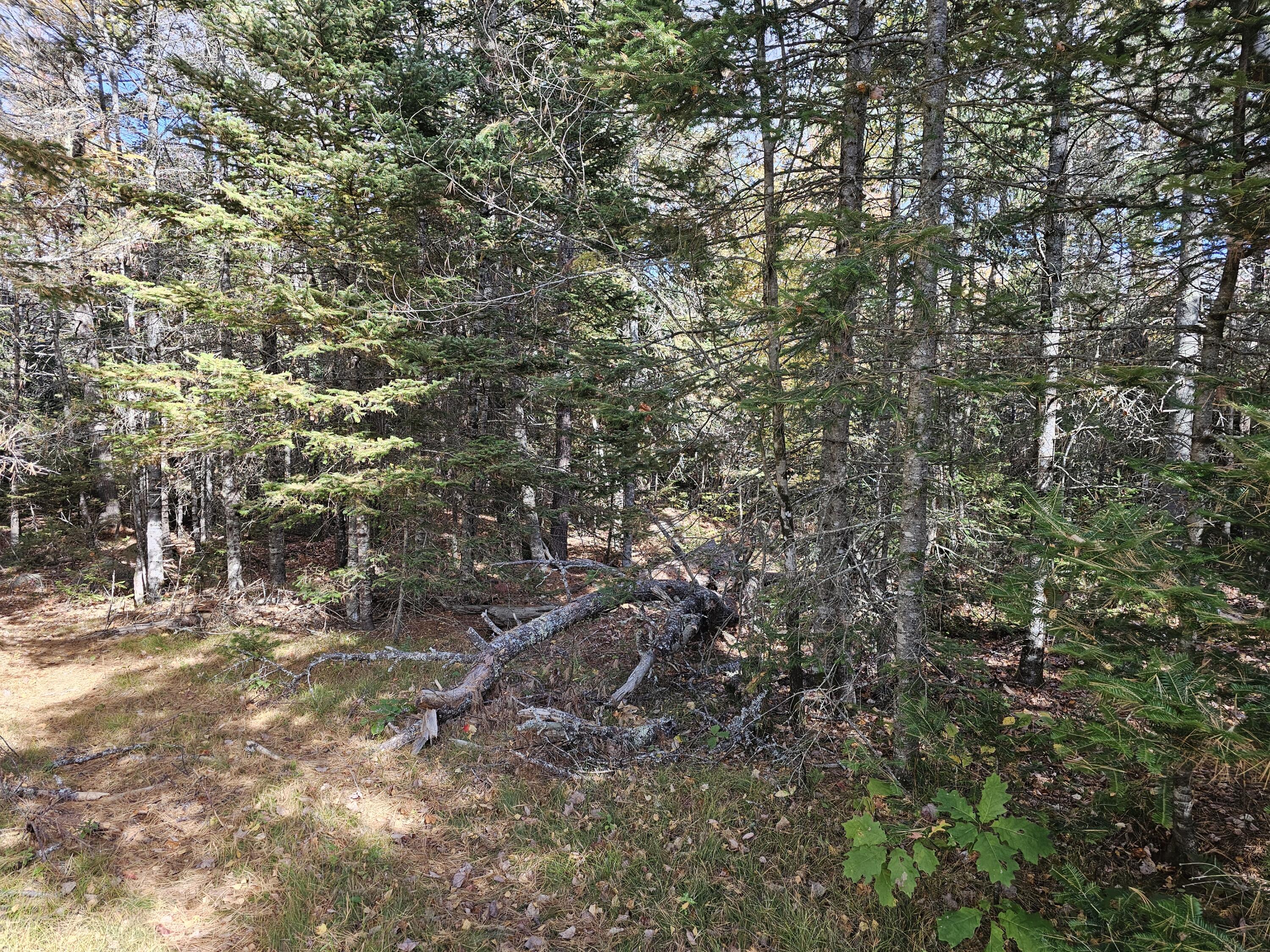 Green Field, Off Georges Pond Road Franklin ME 04634