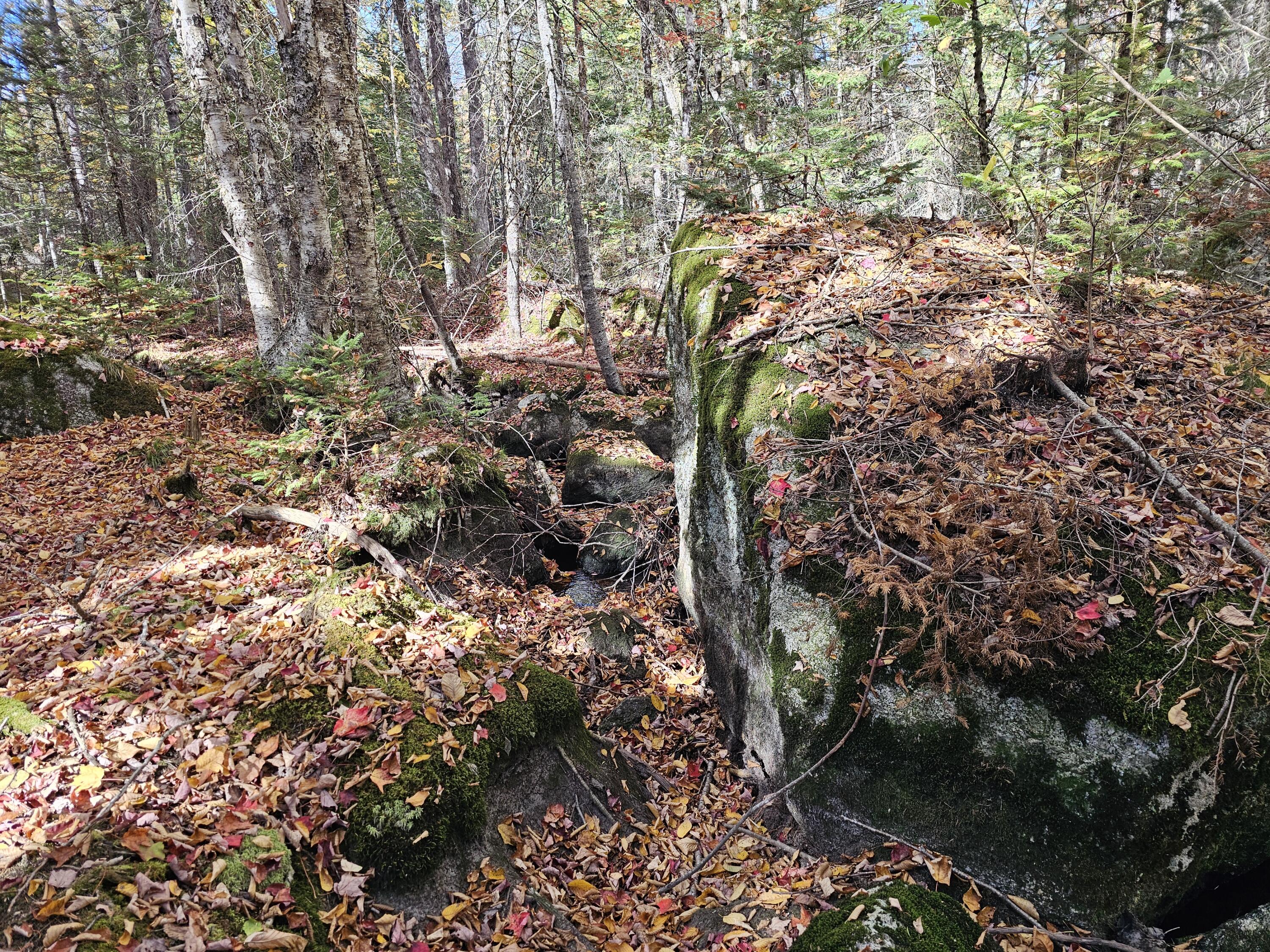 Green Field, Off Georges Pond Road Franklin ME 04634