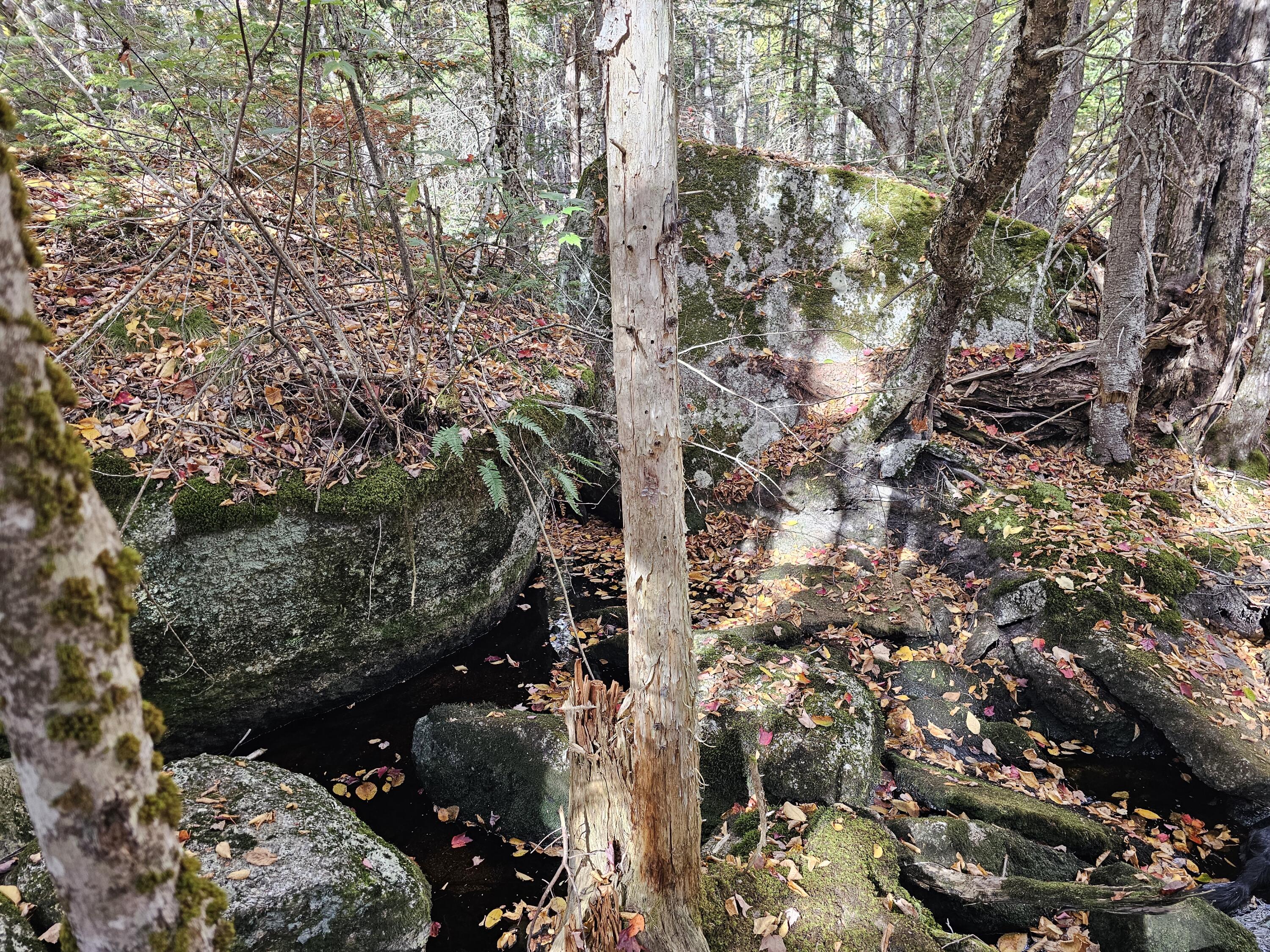 Green Field, Off Georges Pond Road Franklin ME 04634