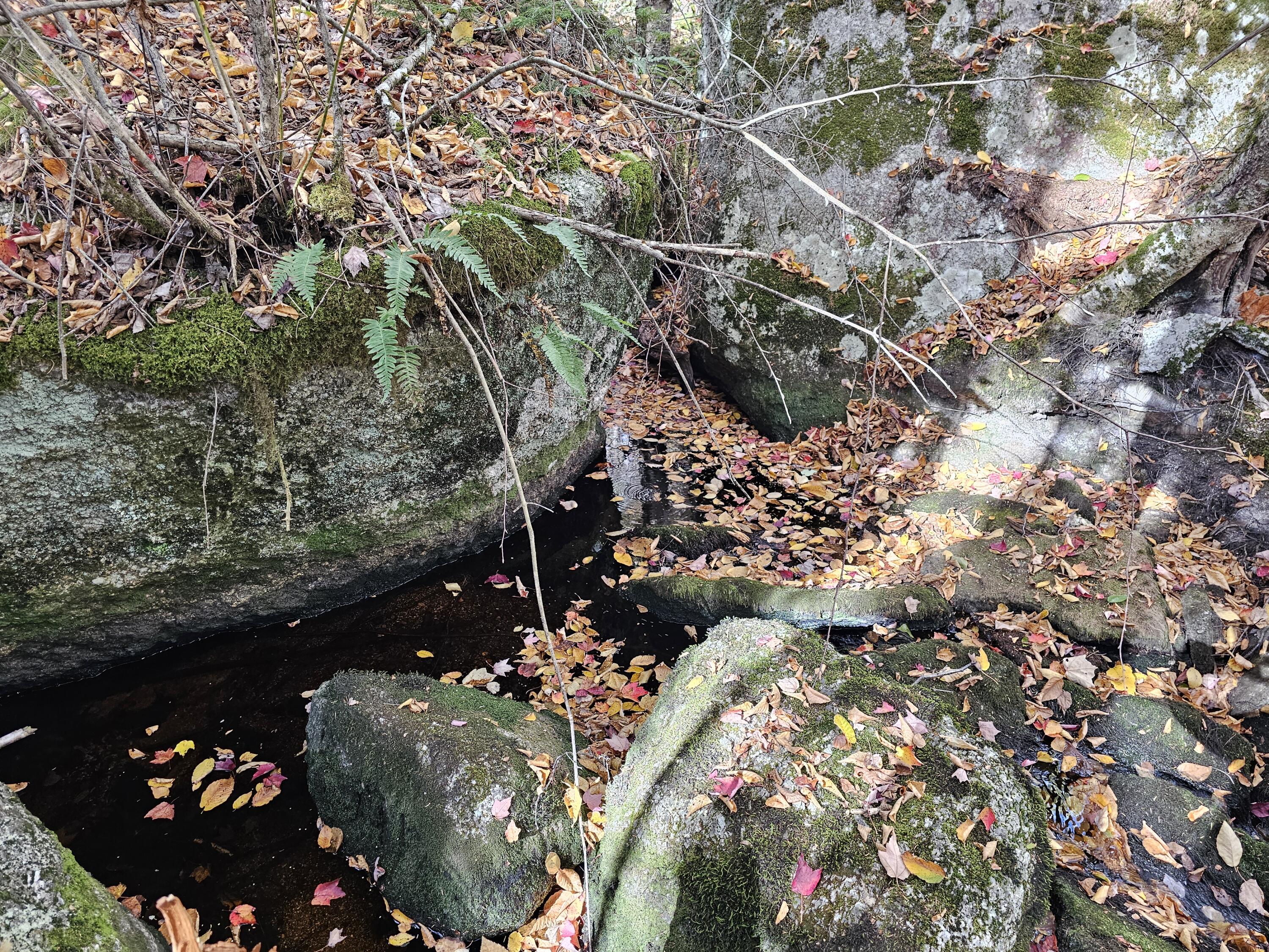 Green Field, Off Georges Pond Road Franklin ME 04634