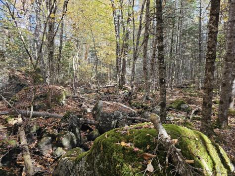 Green Field, Off Georges Pond Road Franklin ME 04634