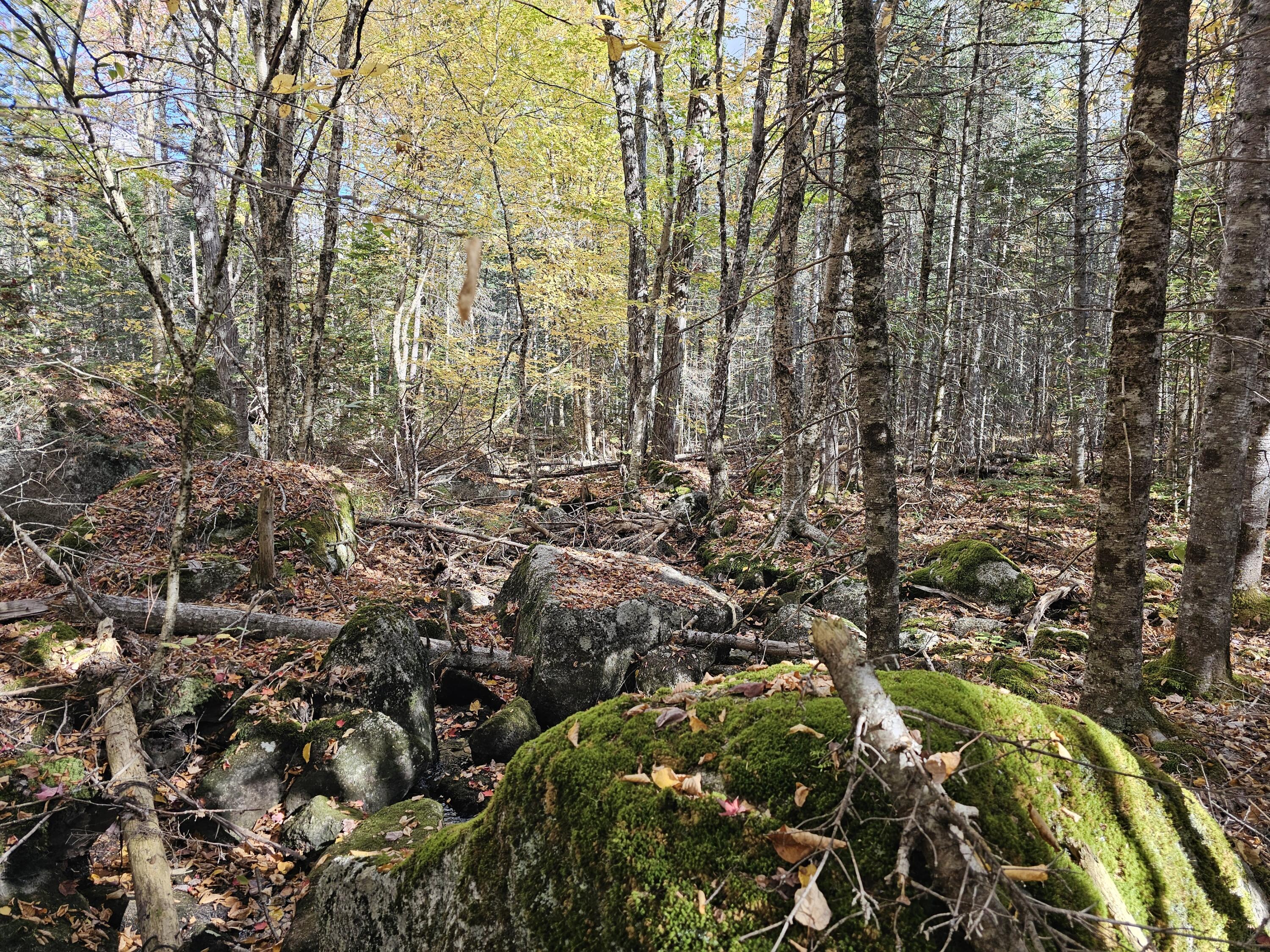 Green Field, Off Georges Pond Road Franklin ME 04634