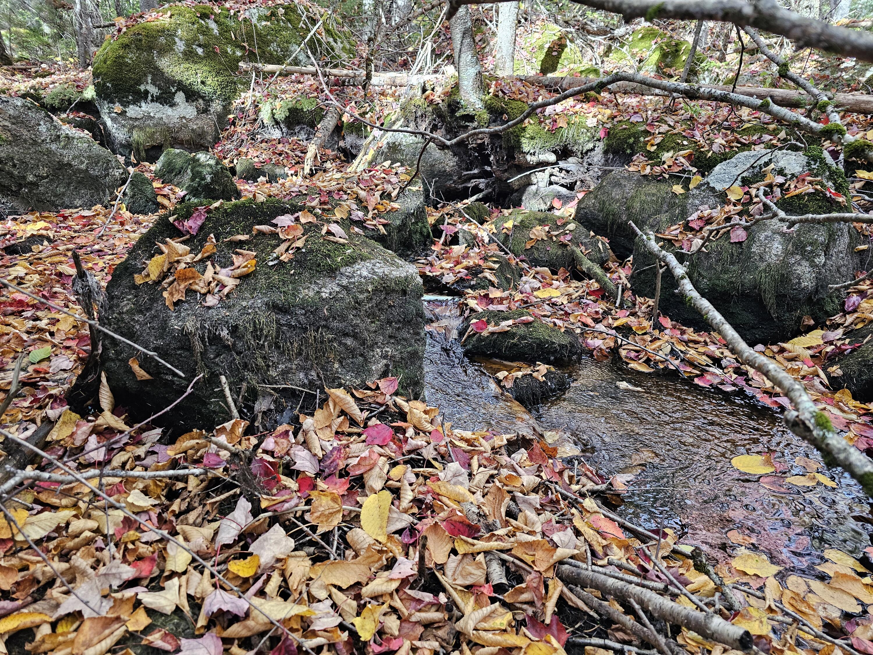 Green Field, Off Georges Pond Road Franklin ME 04634