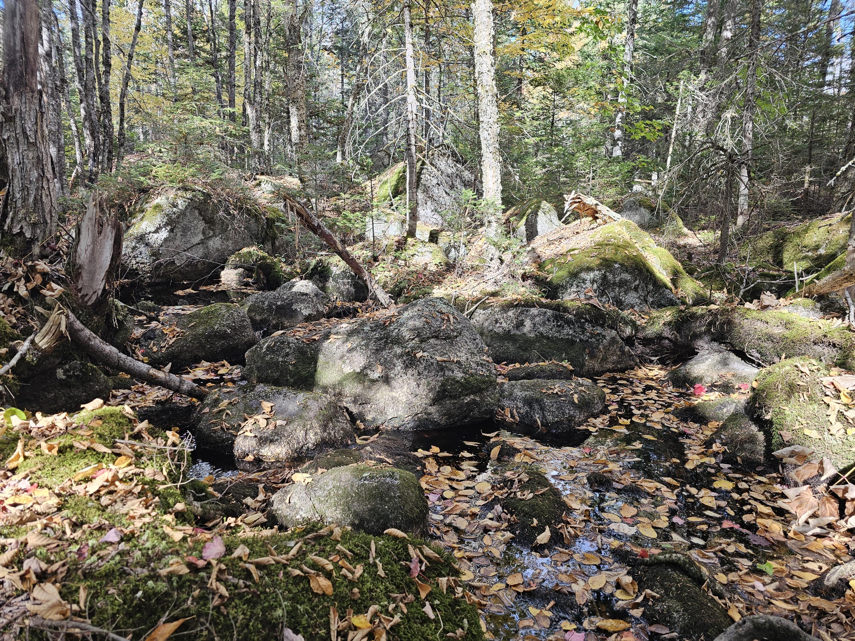 Green Field, Off Georges Pond Road Franklin ME 04634