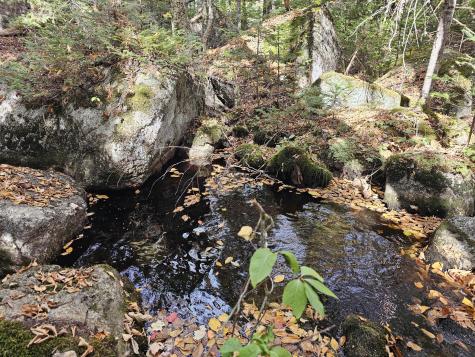 Green Field, Off Georges Pond Road Franklin ME 04634