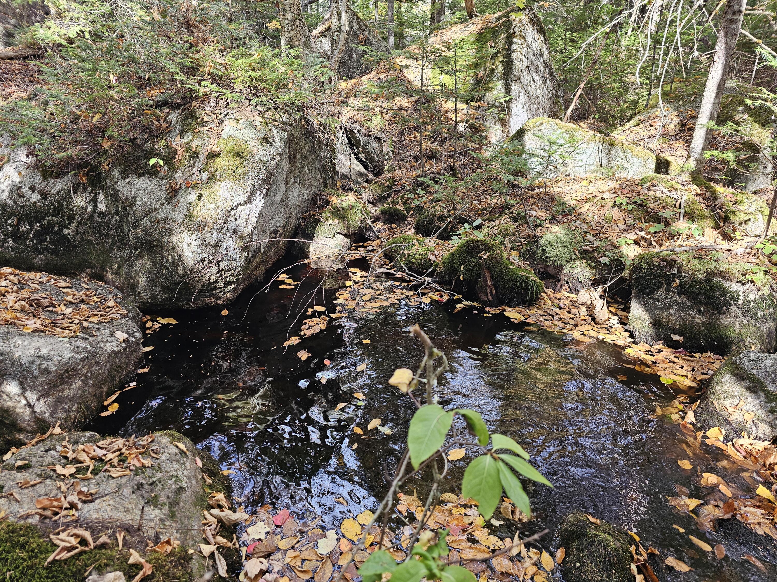Green Field, Off Georges Pond Road Franklin ME 04634