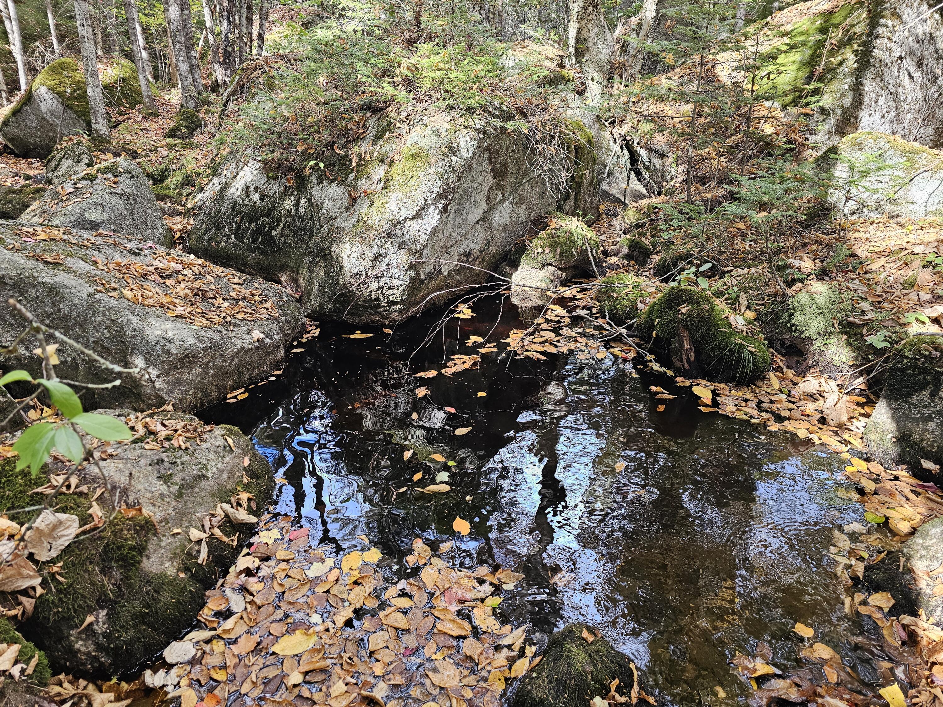 Green Field, Off Georges Pond Road Franklin ME 04634