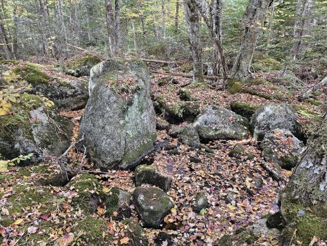 Green Field, Off Georges Pond Road Franklin ME 04634