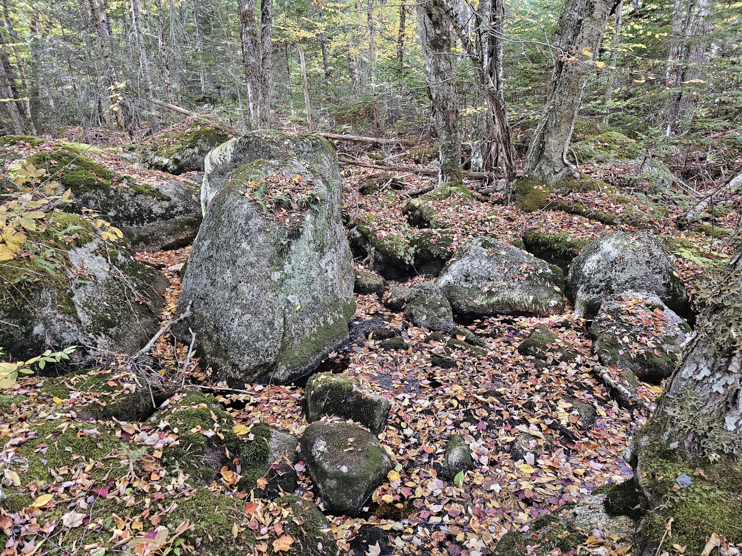 Green Field, Off Georges Pond Road Franklin ME 04634