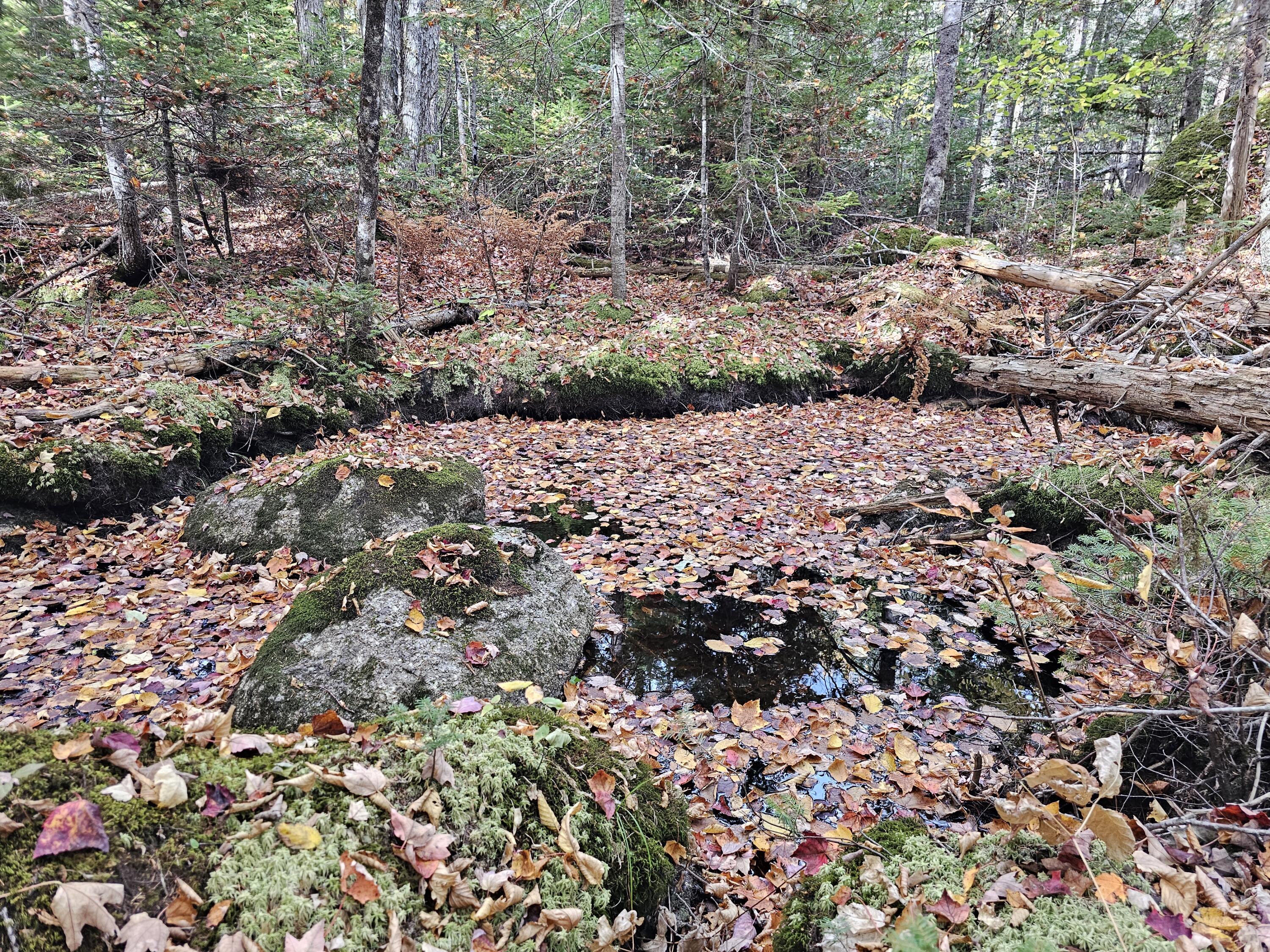 Green Field, Off Georges Pond Road Franklin ME 04634