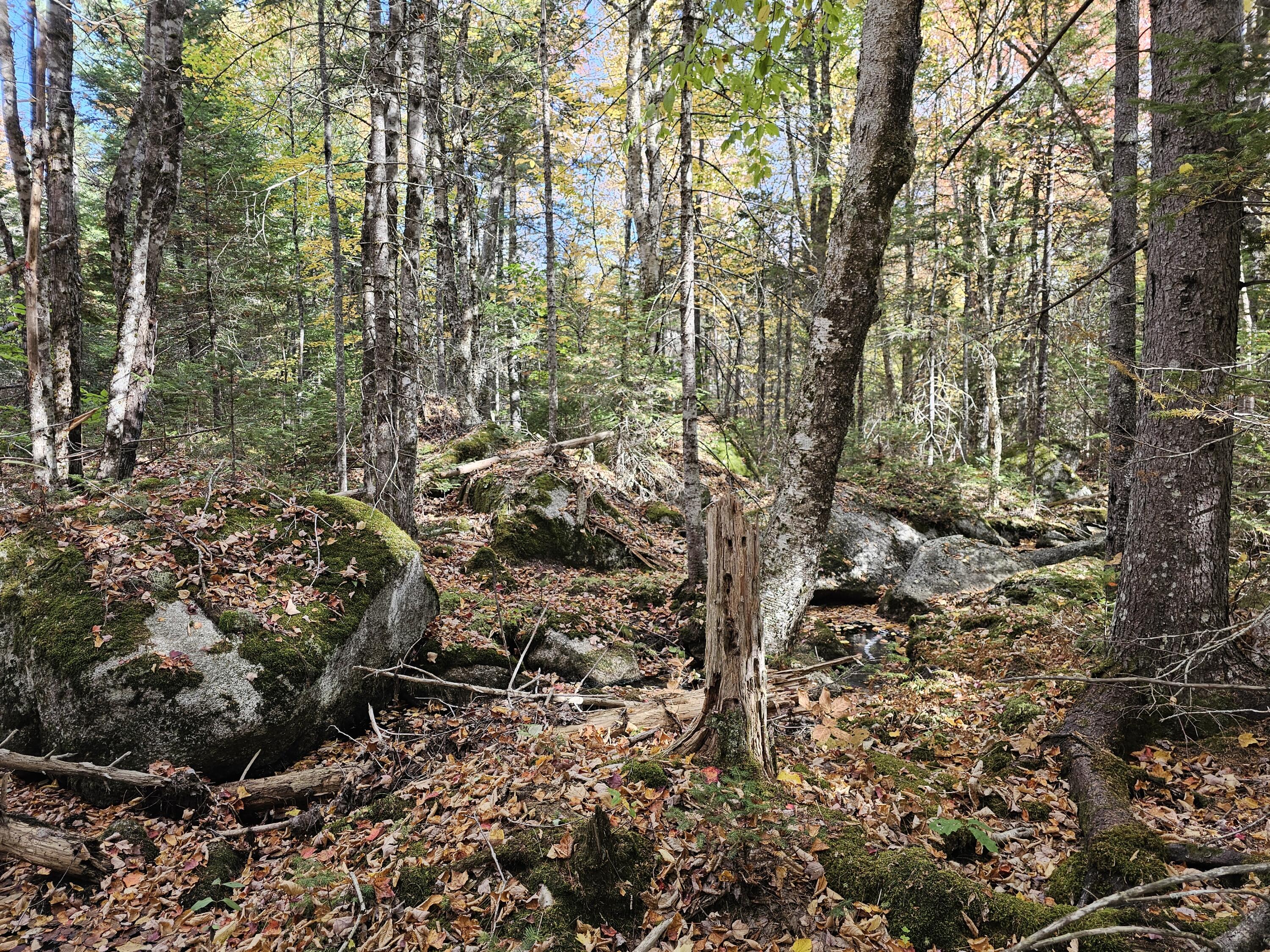 Green Field, Off Georges Pond Road Franklin ME 04634