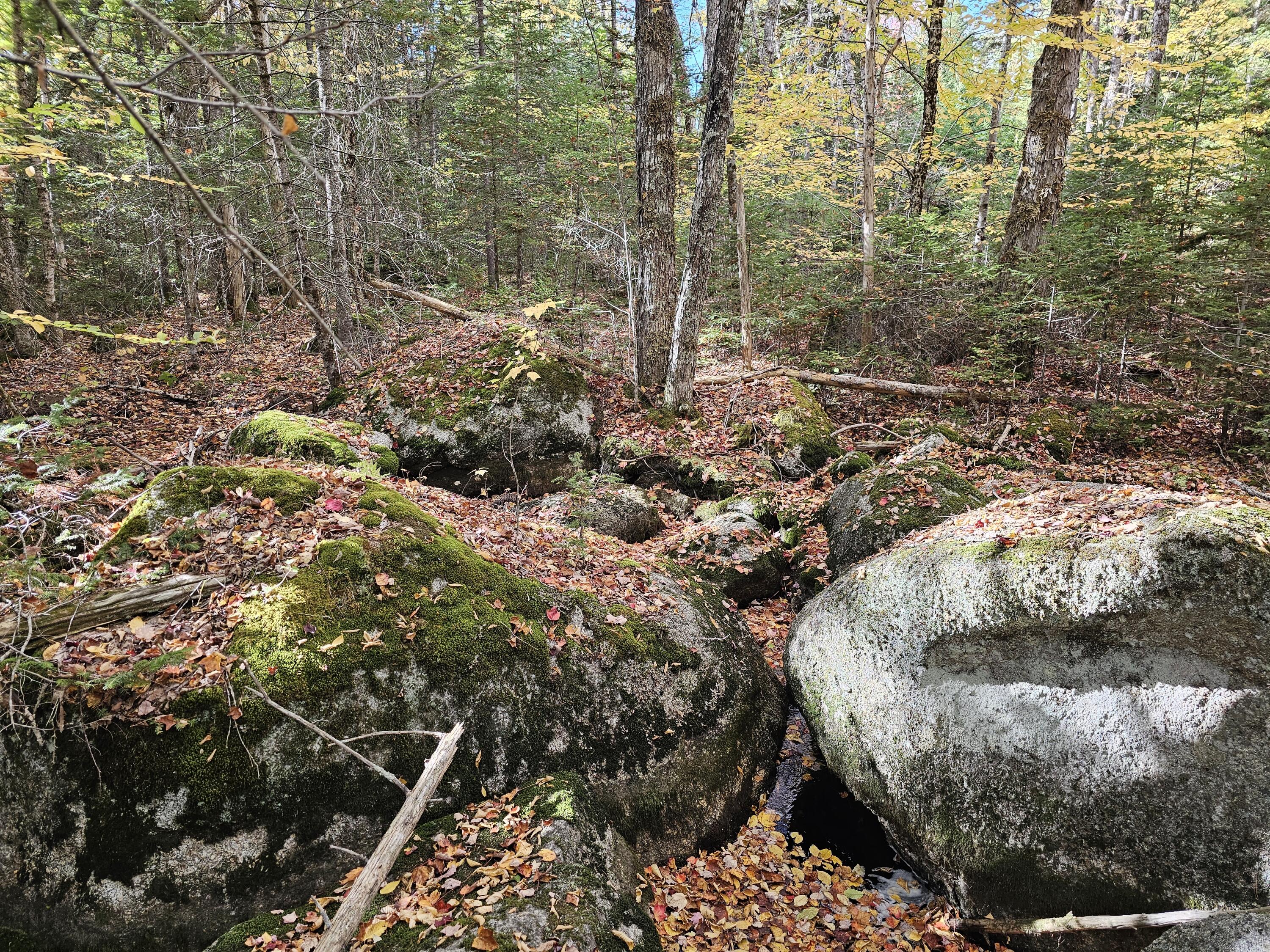 Green Field, Off Georges Pond Road Franklin ME 04634