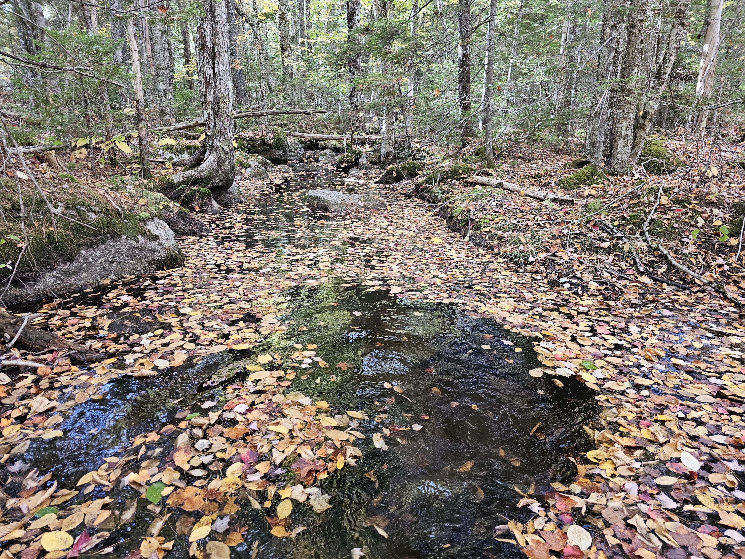Green Field, Off Georges Pond Road Franklin ME 04634
