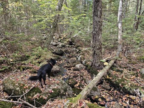 Green Field, Off Georges Pond Road Franklin ME 04634