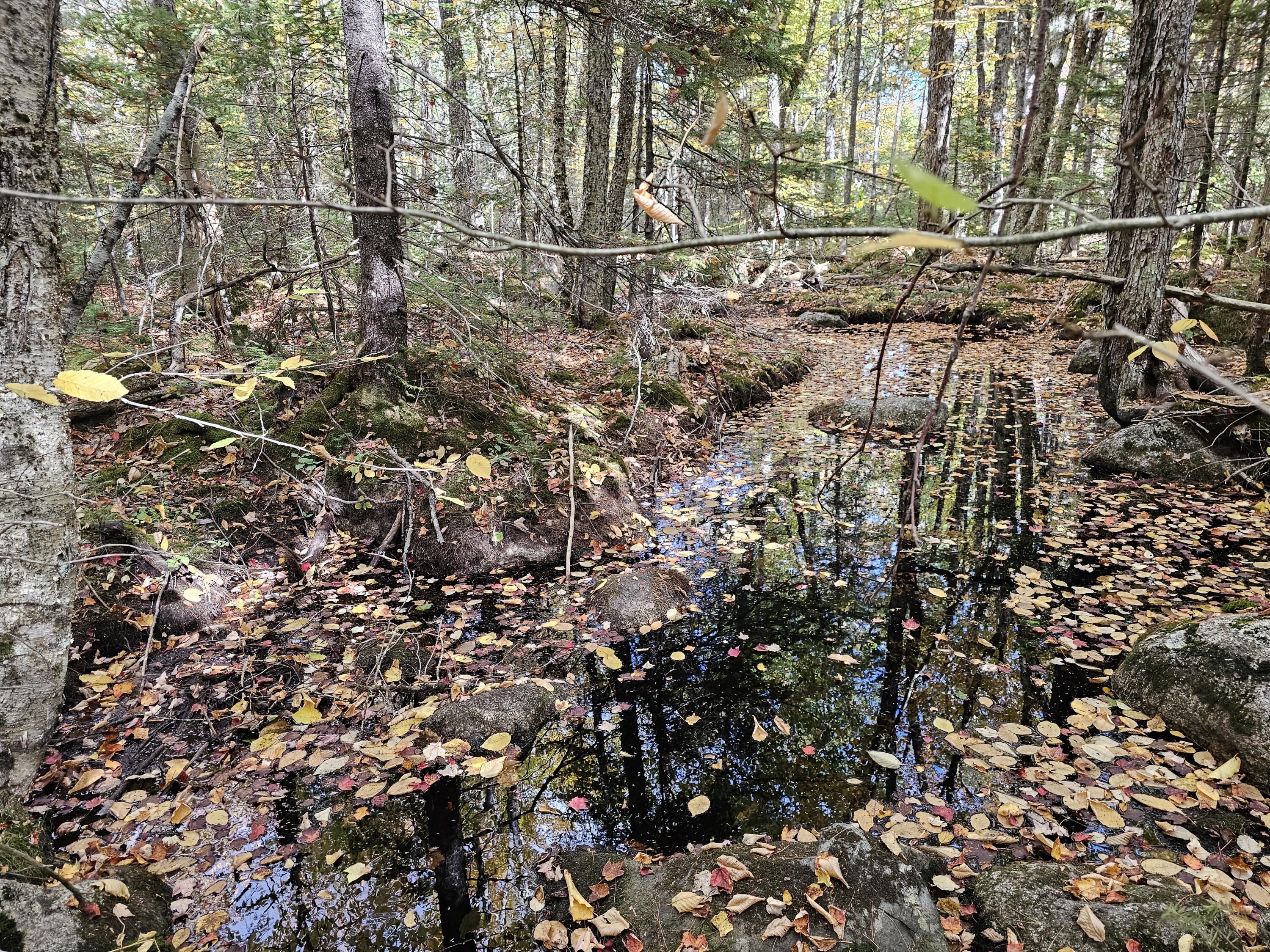 Green Field, Off Georges Pond Road Franklin ME 04634