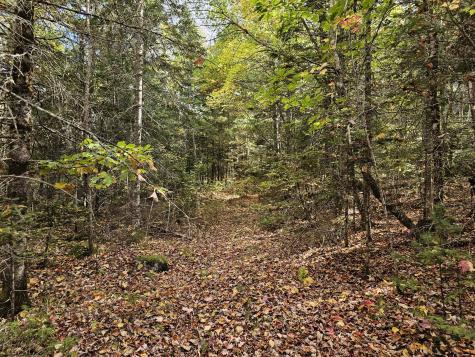 Green Field, Off Georges Pond Road Franklin ME 04634
