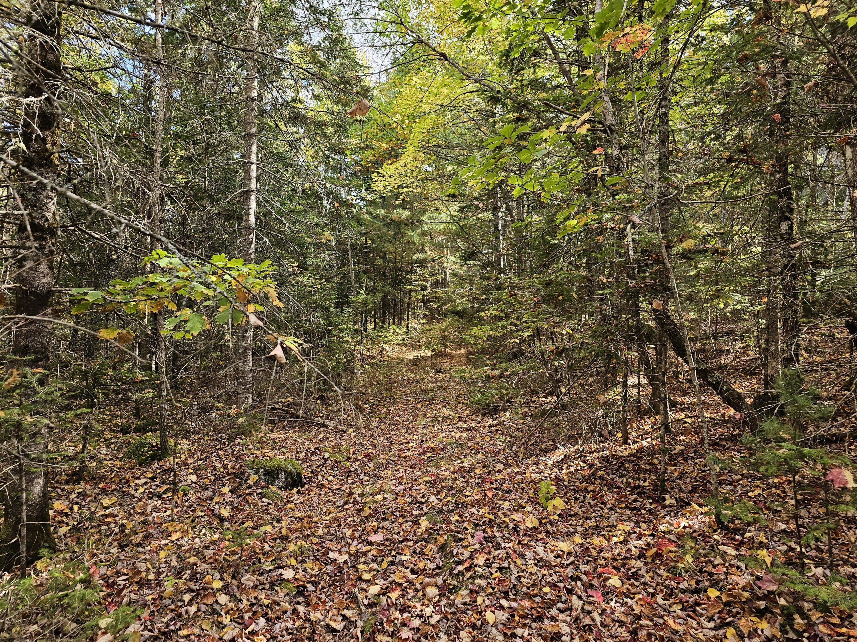 Green Field, Off Georges Pond Road Franklin ME 04634