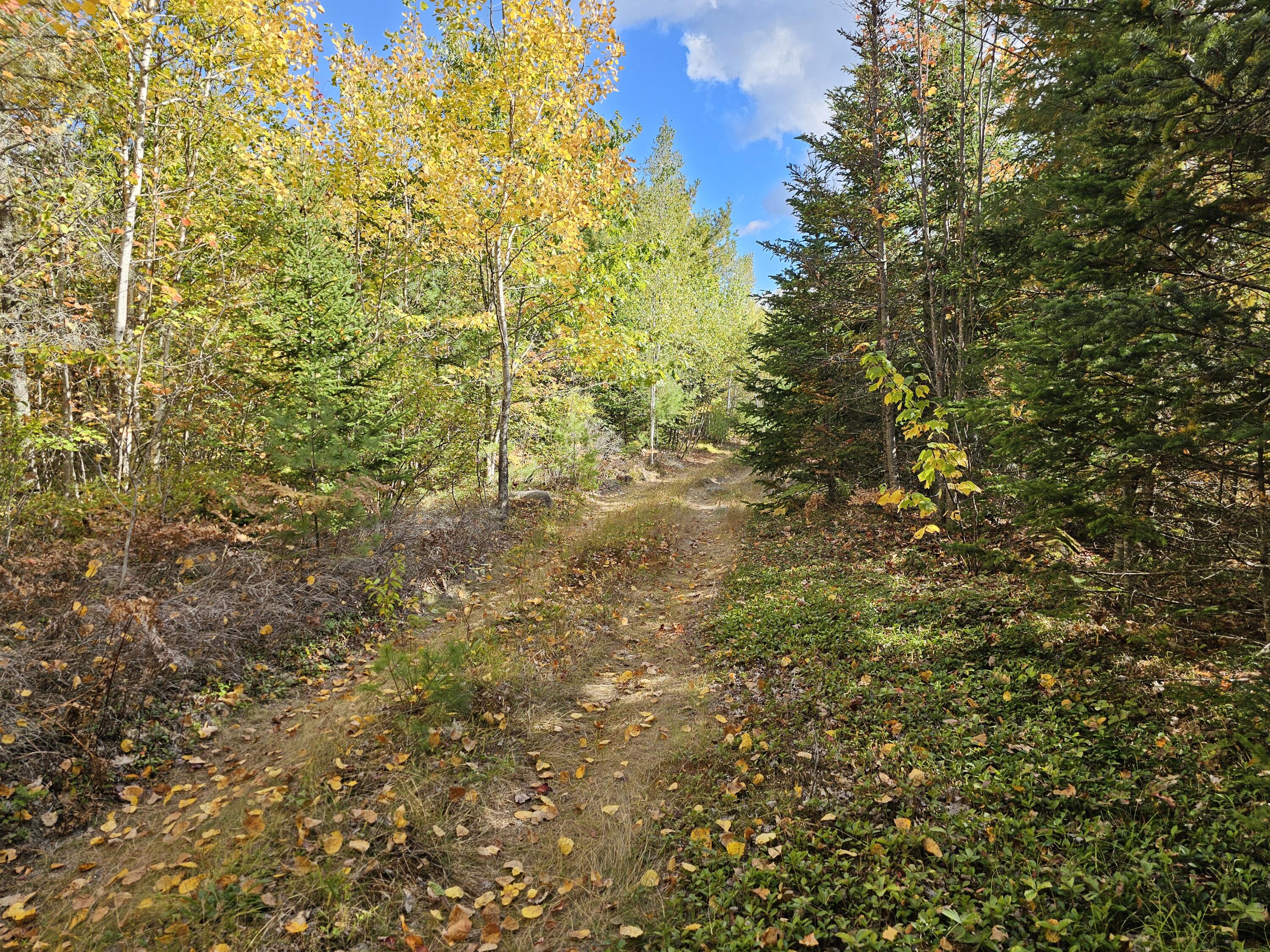 Green Field, Off Georges Pond Road Franklin ME 04634