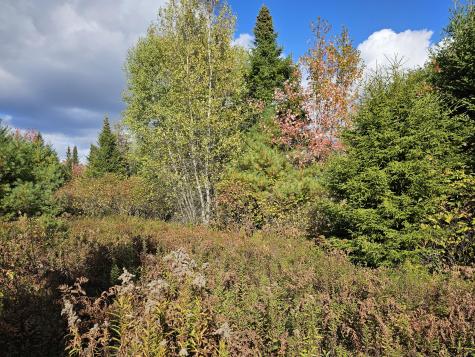 Green Field, Off Georges Pond Road Franklin ME 04634