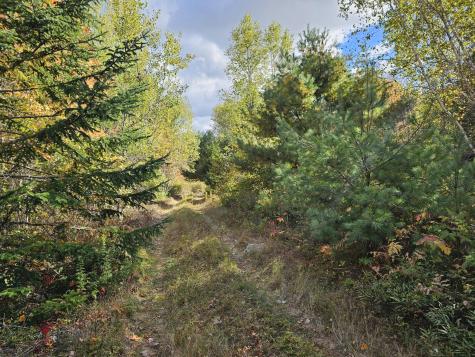 Green Field, Off Georges Pond Road Franklin ME 04634