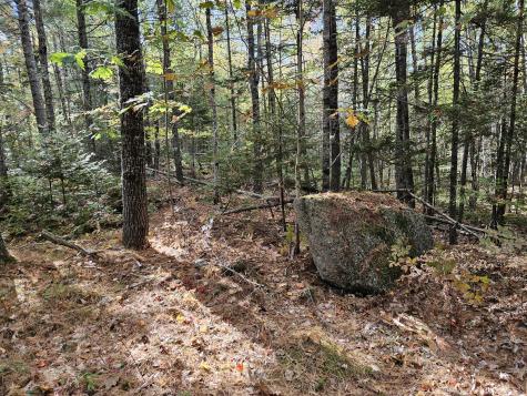Green Field, Off Georges Pond Road Franklin ME 04634