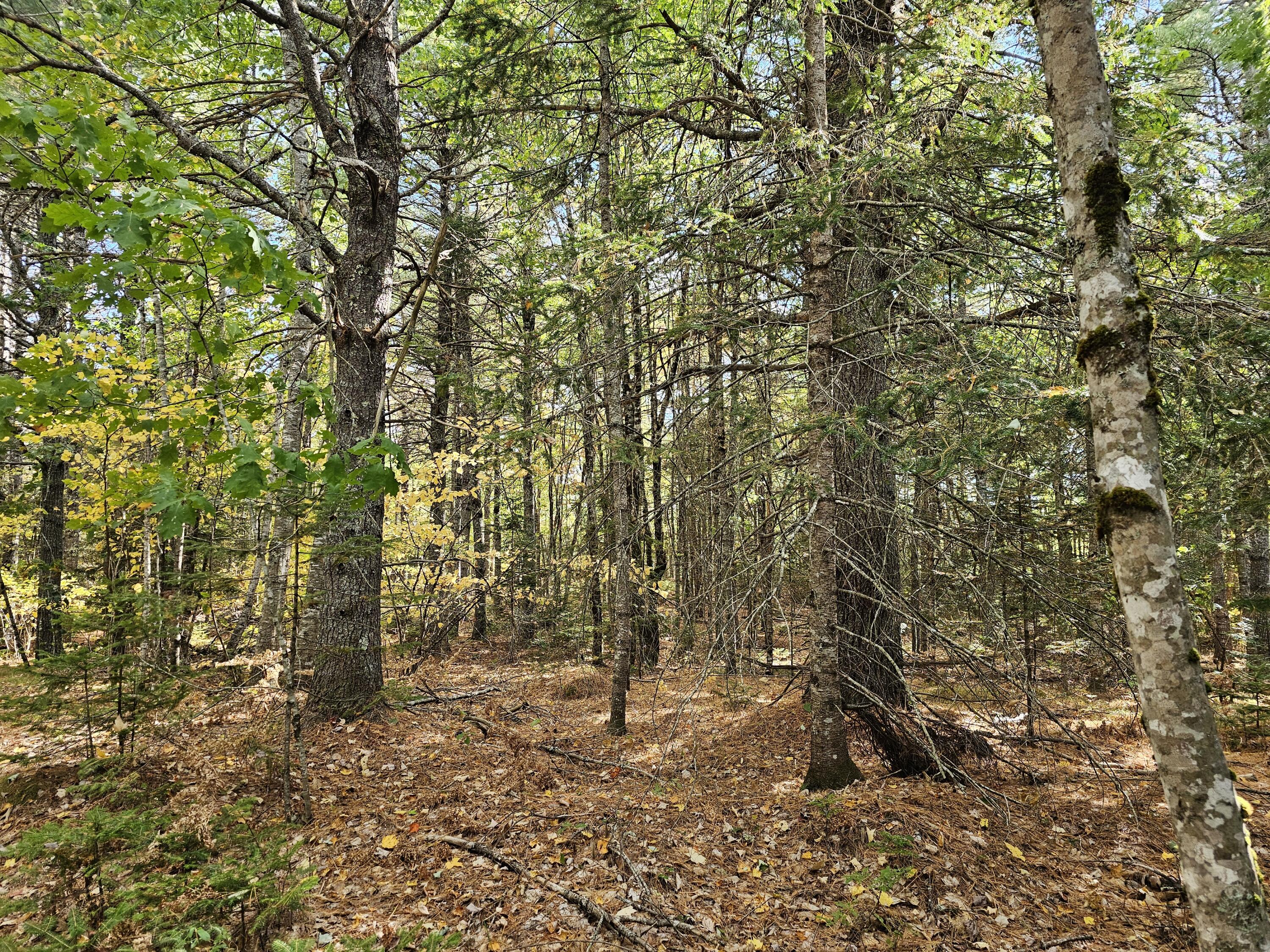 Green Field, Off Georges Pond Road Franklin ME 04634