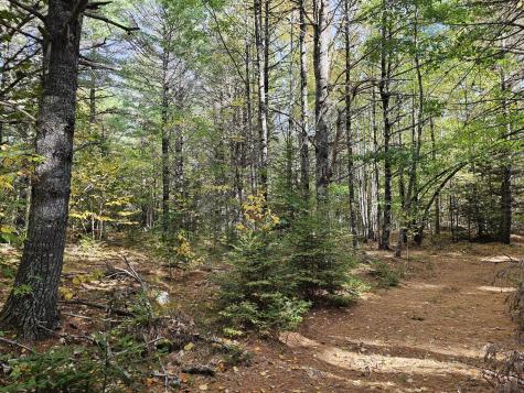 Green Field, Off Georges Pond Road Franklin ME 04634