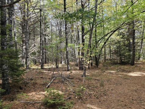 Green Field, Off Georges Pond Road Franklin ME 04634
