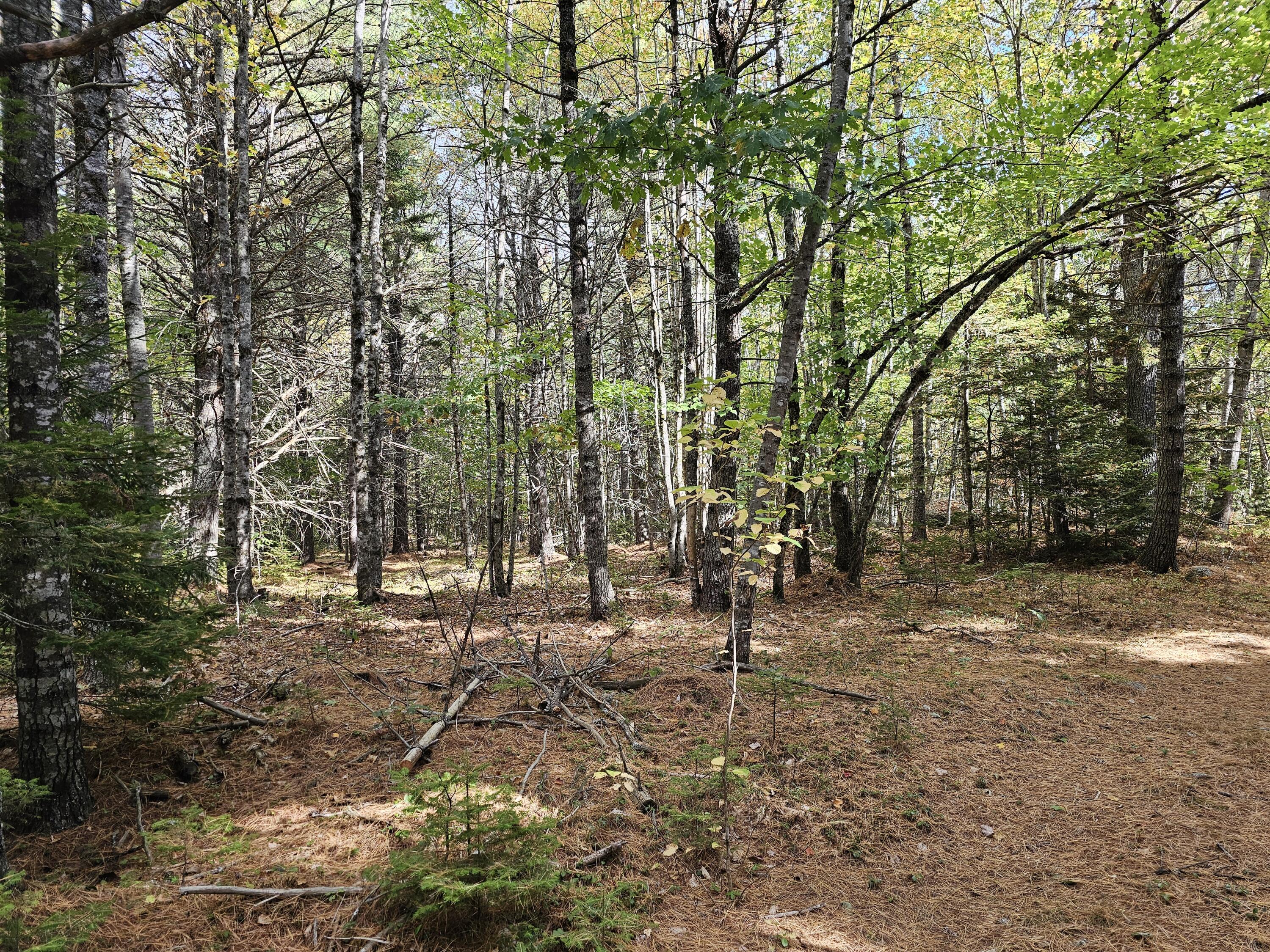 Green Field, Off Georges Pond Road Franklin ME 04634