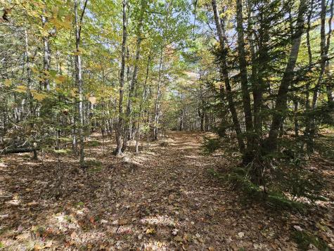Green Field, Off Georges Pond Road Franklin ME 04634