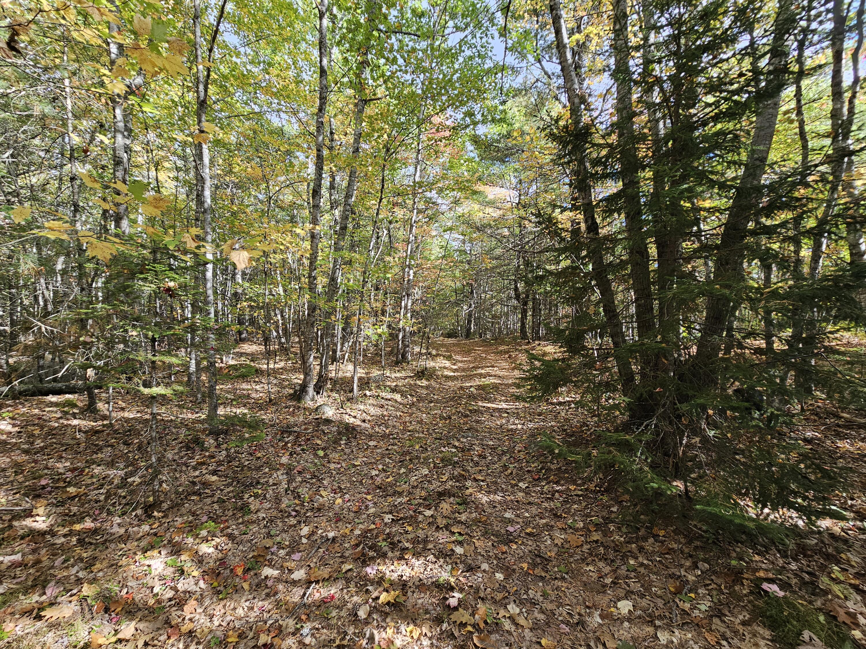 Green Field, Off Georges Pond Road Franklin ME 04634